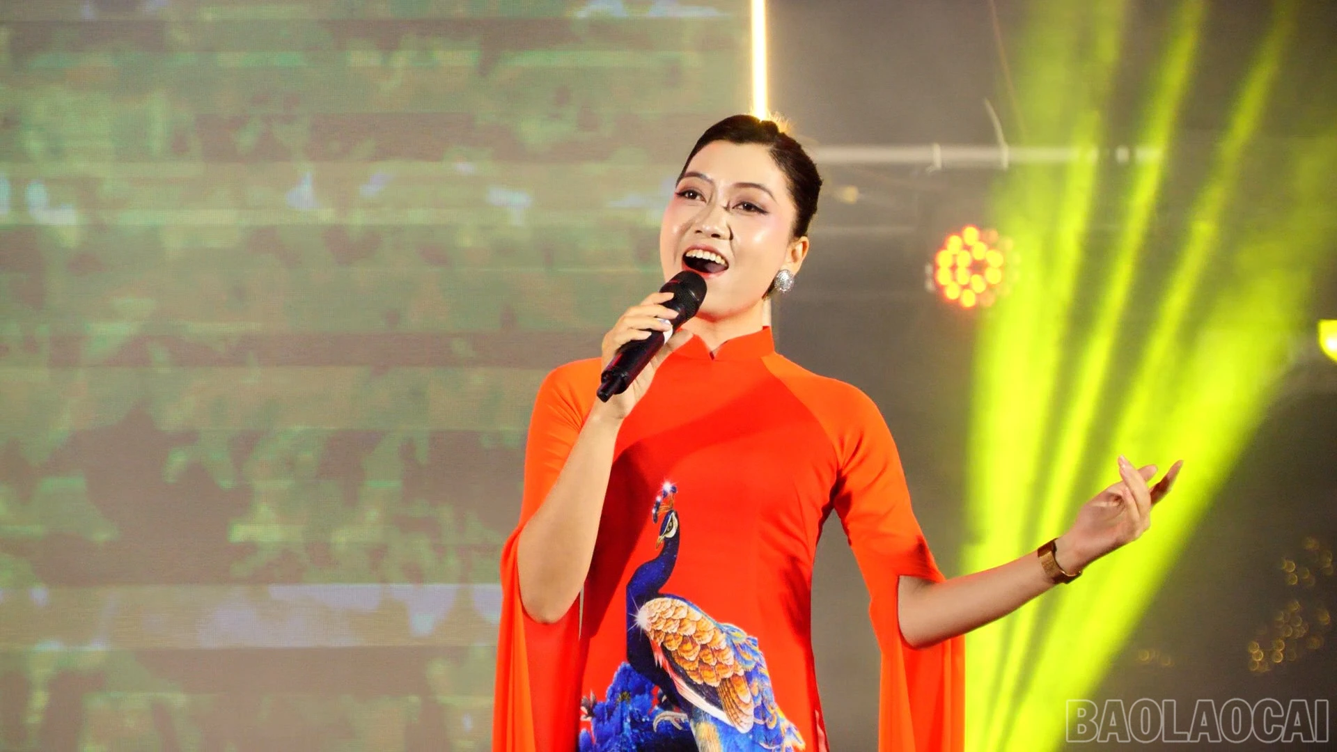 baolaocai-br_dung-phat-thanh00-47-55-04still064.jpg