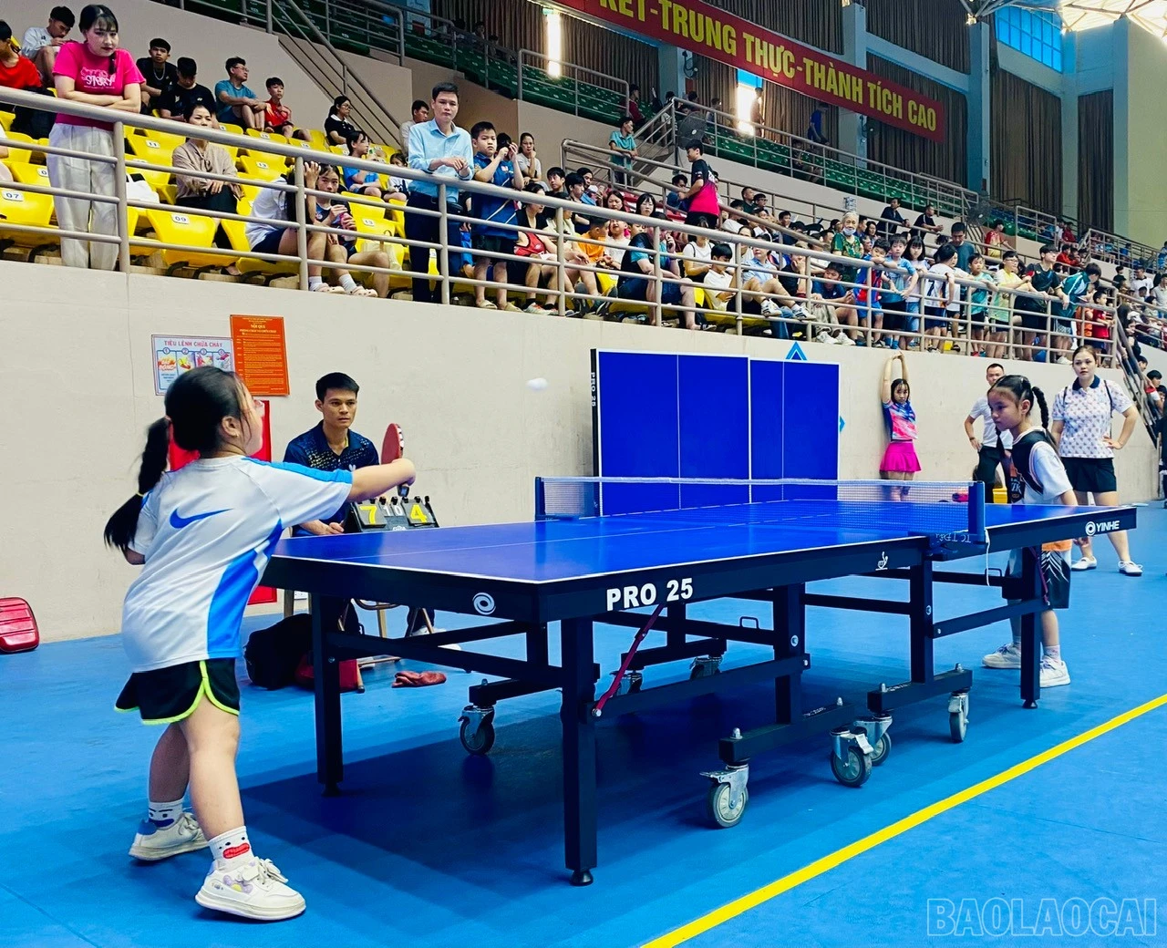 baolaocai-br_z7665745648191-a64393f64c195a2e482bed79fa2adc27.jpg