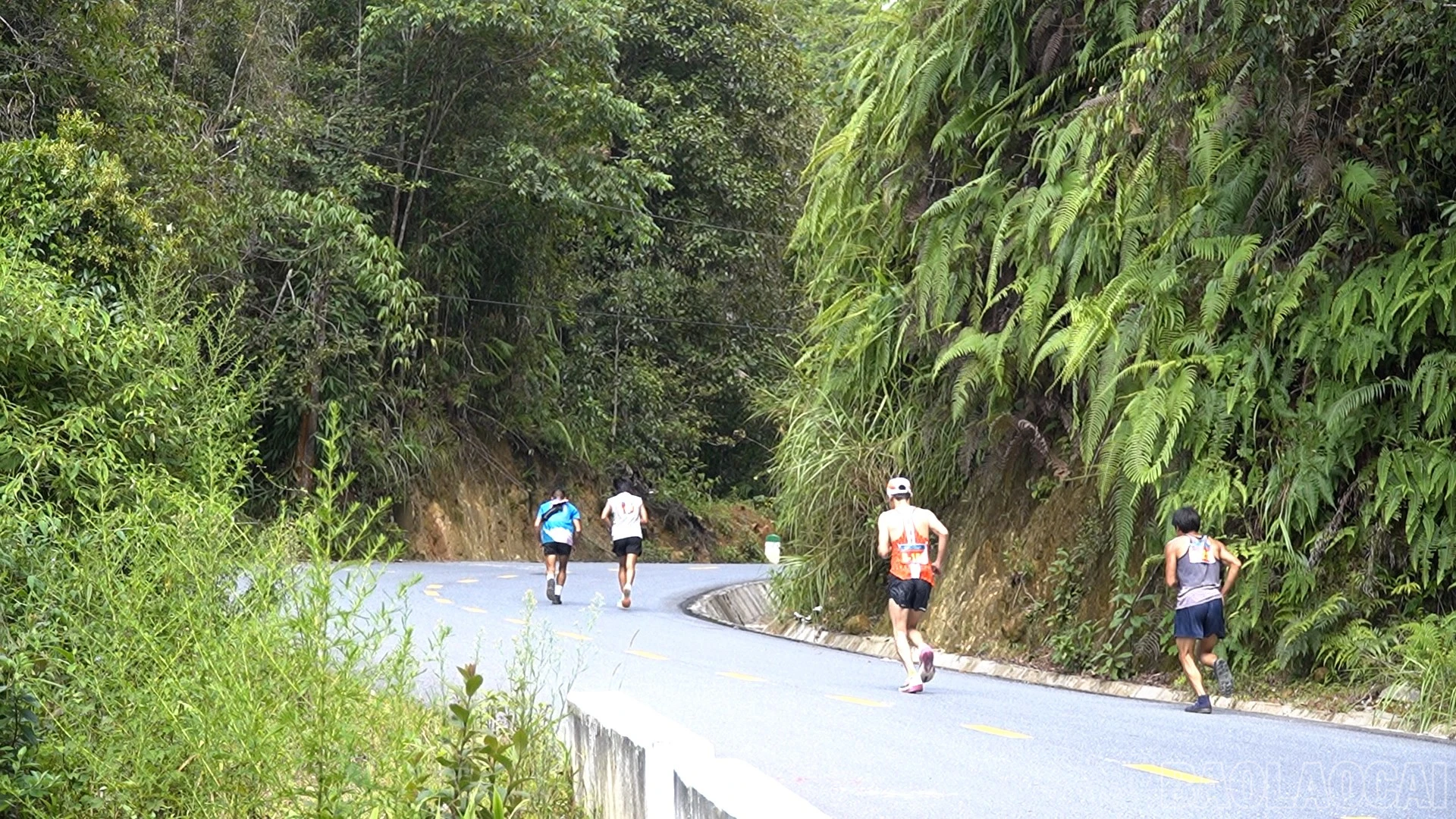 baolaocai-br_dung-ps06-02-44-16still669.jpg