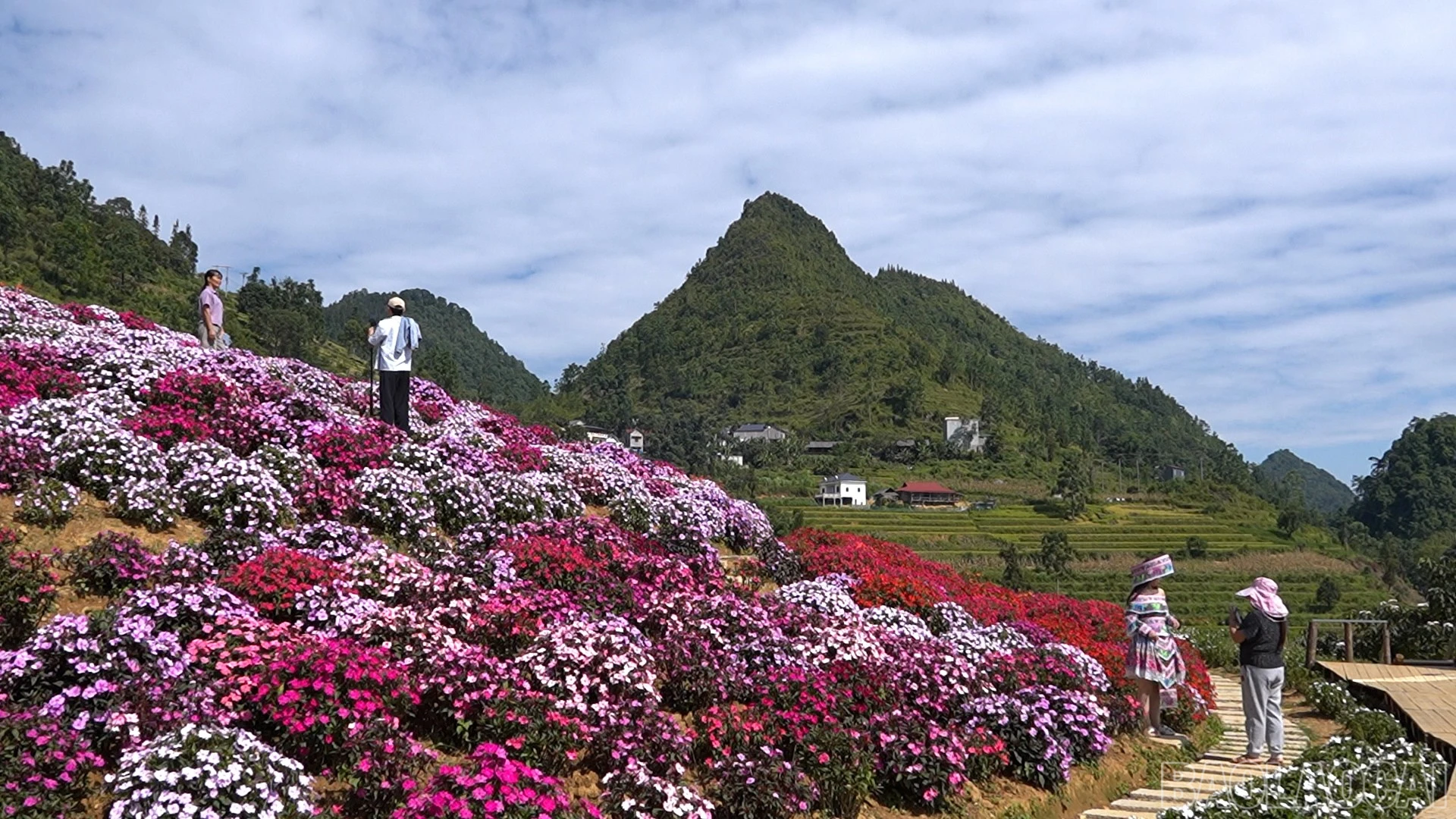 baolaocai-br_dung-ps01-29-53-22still778.jpg