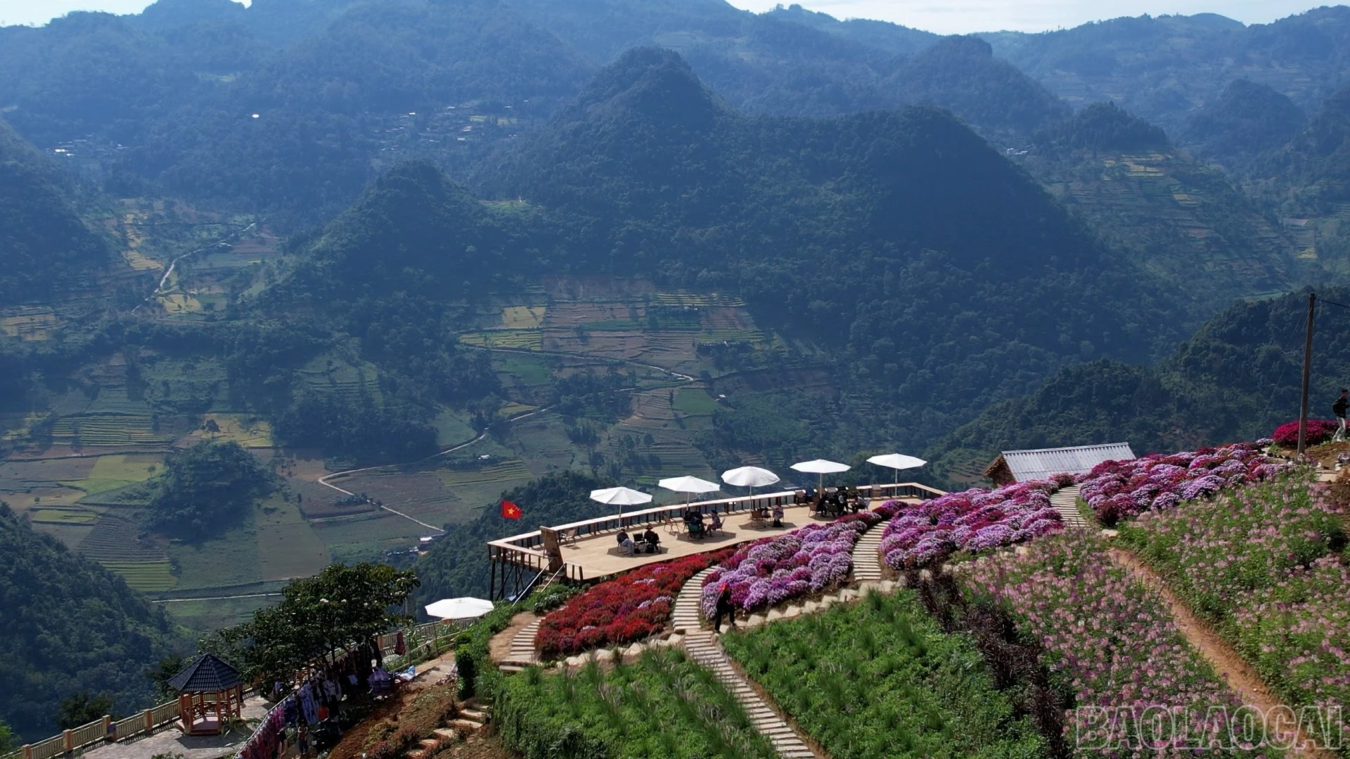 baolaocai-br_dung-ps01-29-59-18still791.jpg