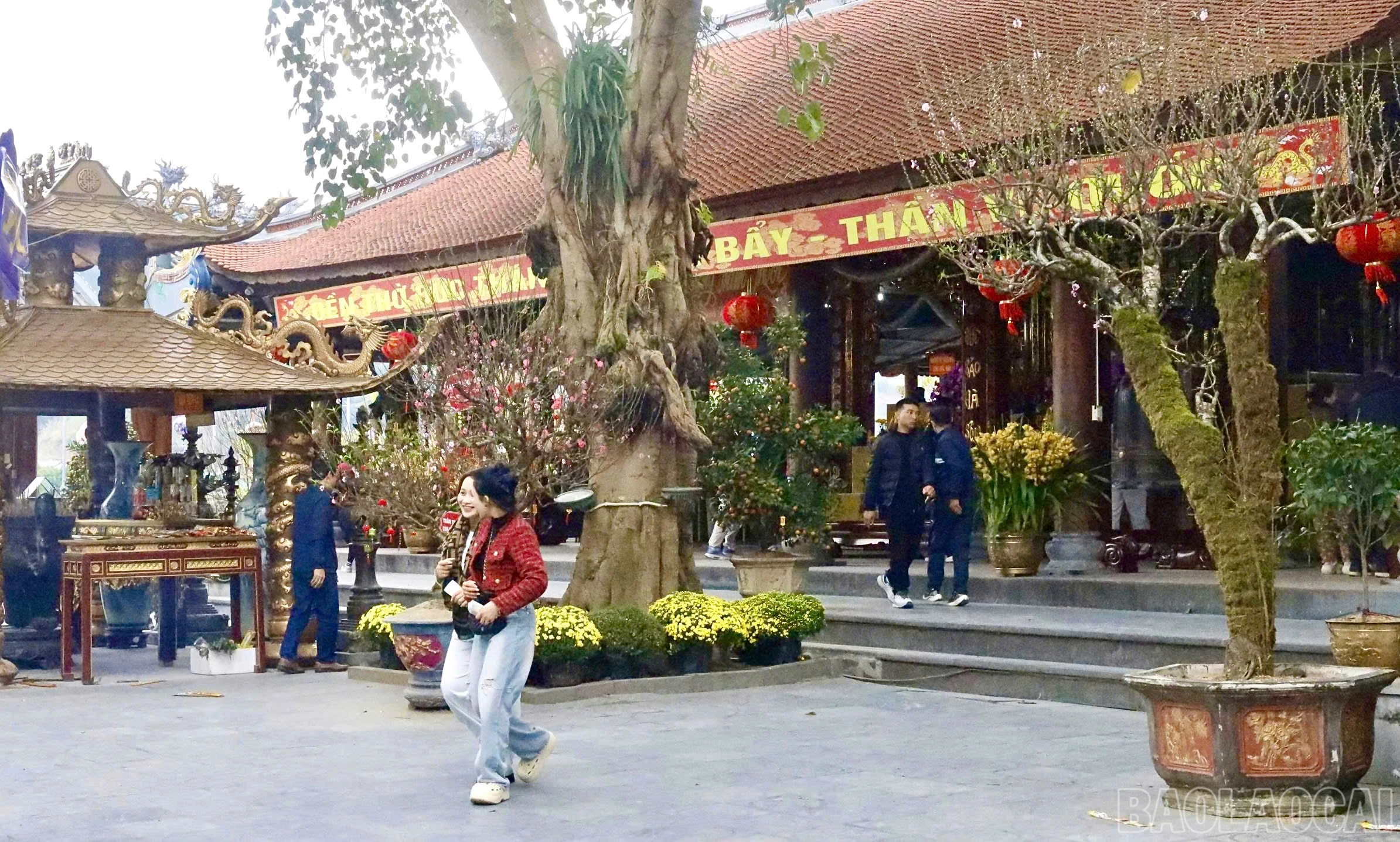 baolaocai-br_z7526280805488-028f3a15c0e98b3077e9bd154be8e4c4.jpg