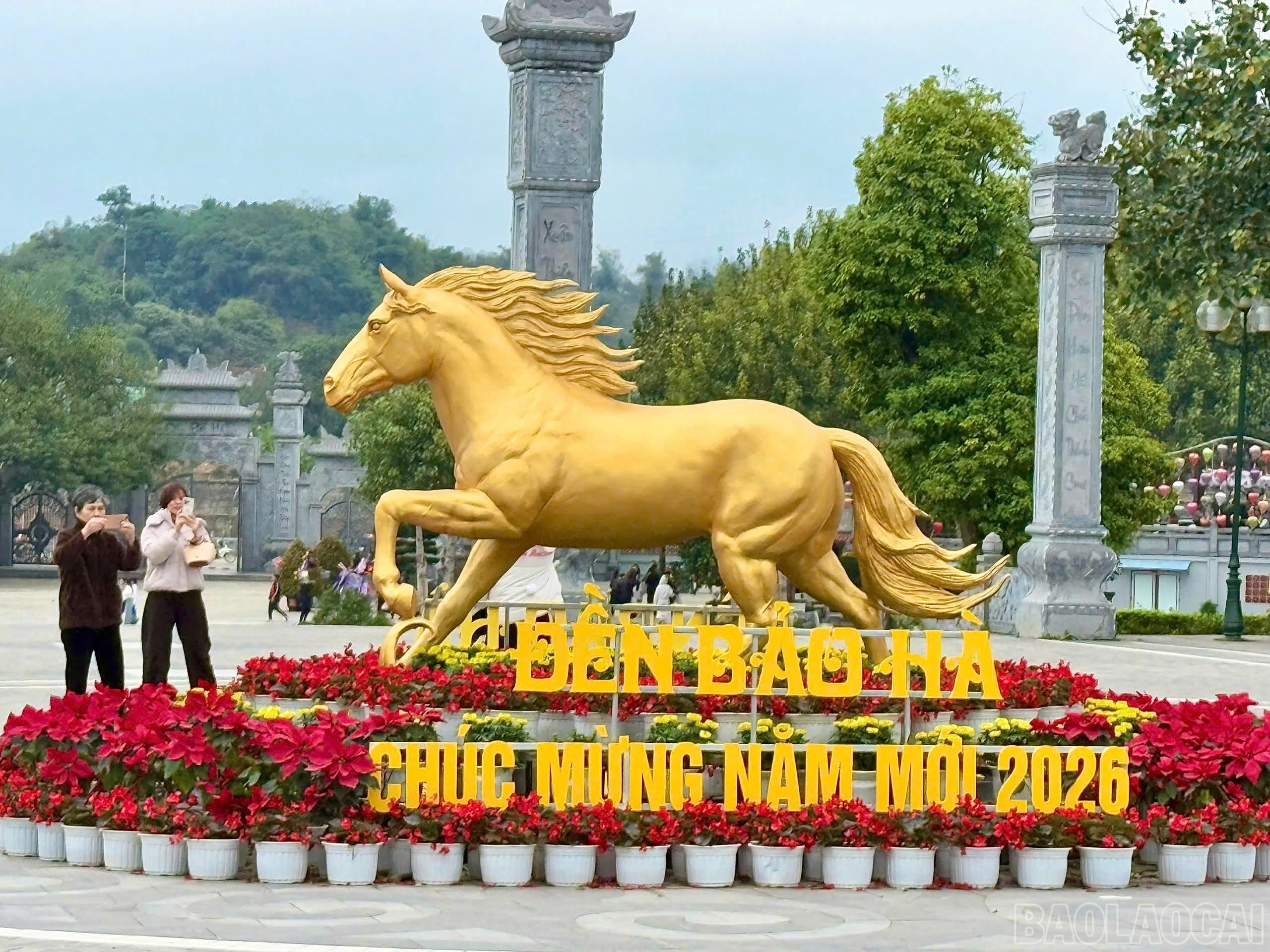 baolaocai-br_z7526280805640-5131f832f6b75c7cc0e98916325985af.jpg