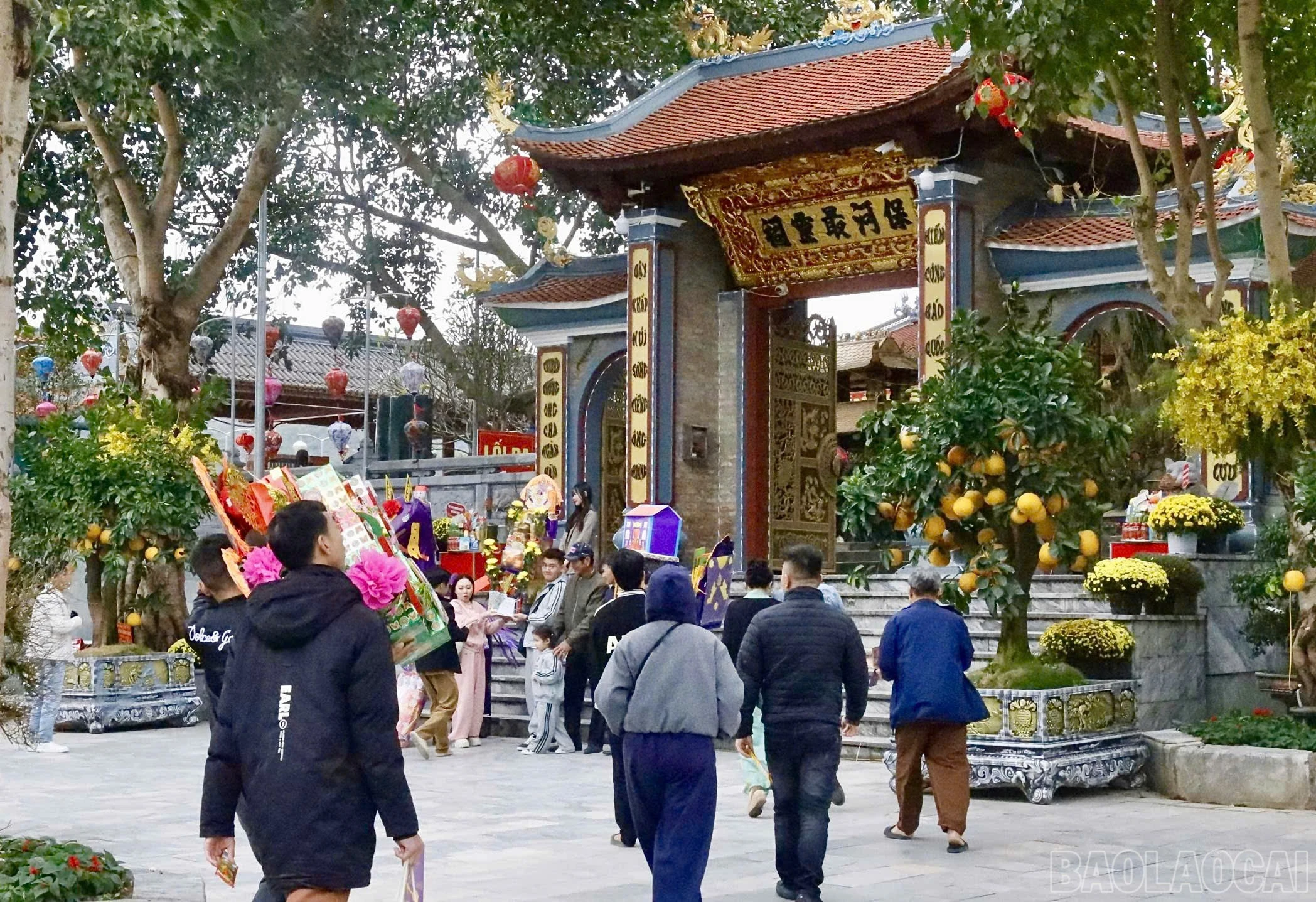 baolaocai-br_z7526280811041-bfb00503b6c5097c6b84367210017dec.jpg