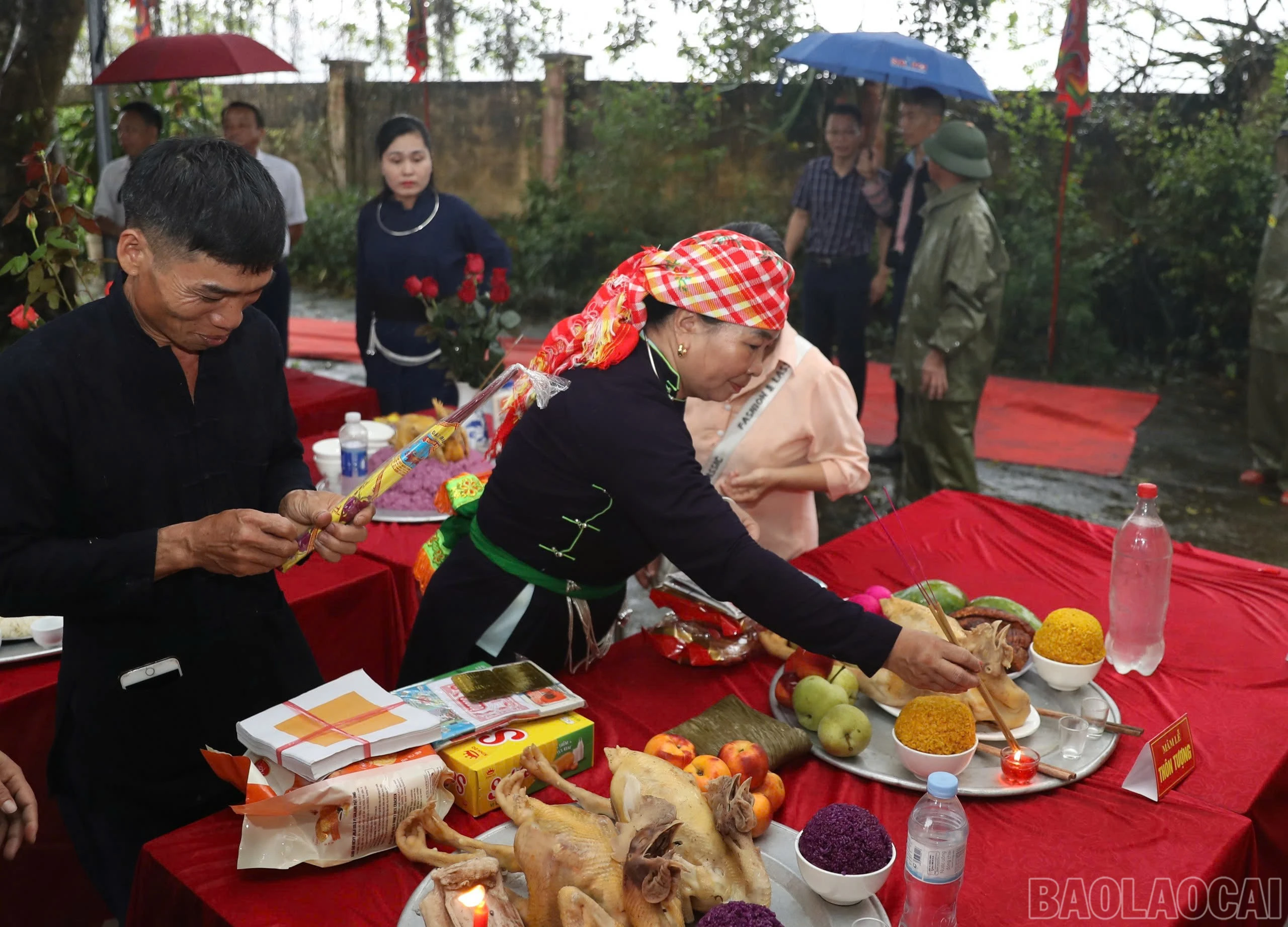 baolaocai-br_1782796036095-193242162315323954-193242162315323954-36f2810e78f046c7eea8175af8140c72.jpg