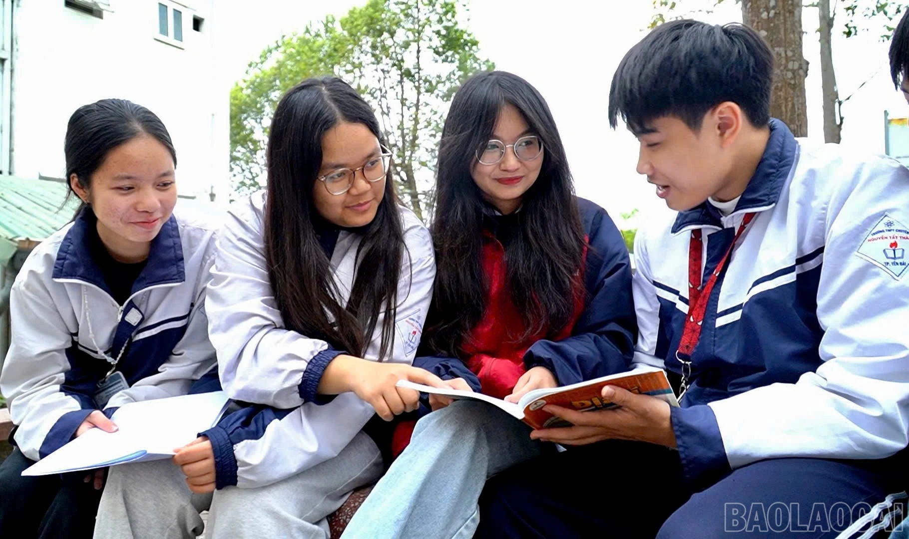 baolaocai-br_z7465630293421-f2d521e67d8191cd24d76307d2965557.jpg