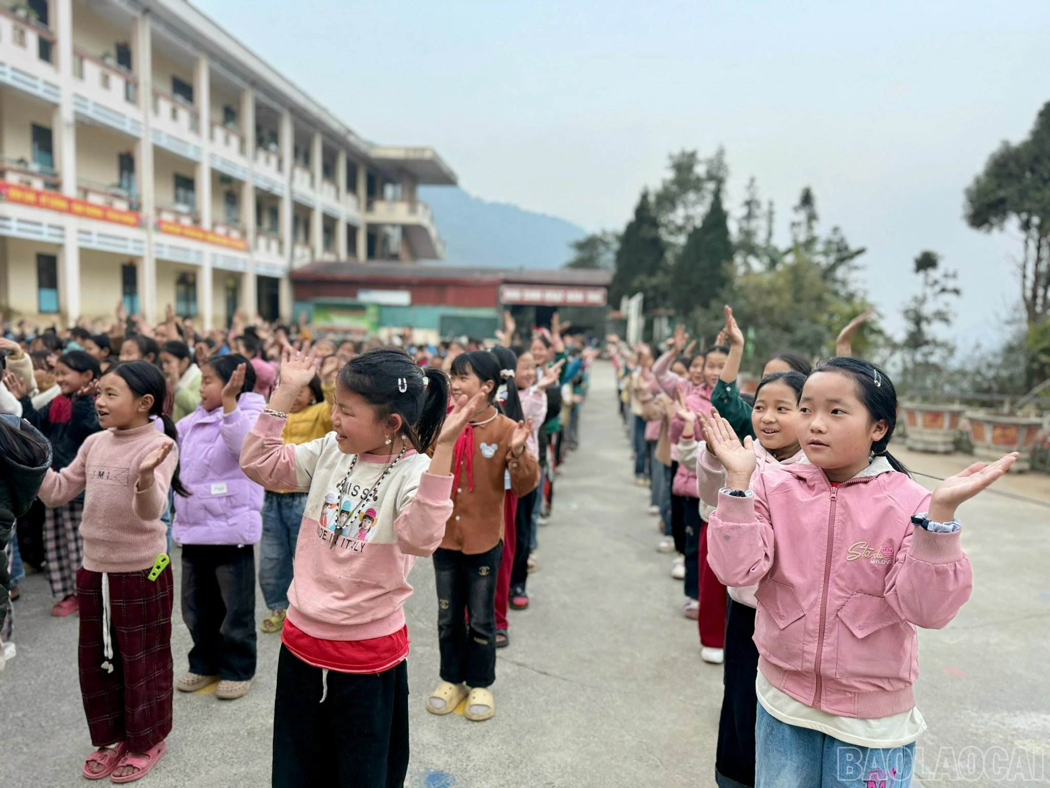 baolaocai-br_z7466601653861-4f5d8f6d957d2a13d636af066d6a0257.jpg
