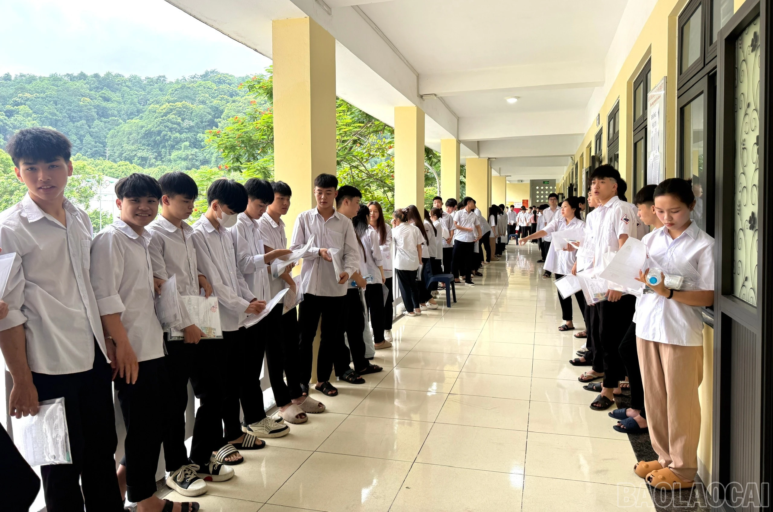 baolaocai-br_1781150411270-1990624821983247676-4362648308235759895-288f7276c7009d3291472e1054c68f46.jpg