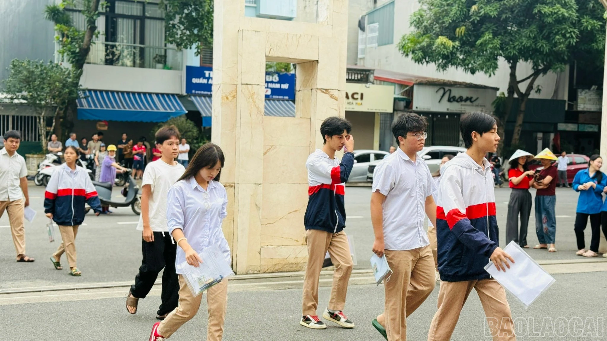 baolaocai-br_1781150386847-1990624821983247676-4362648308235759895-56723e4912e01c1bae0b2f709ff7624d.jpg