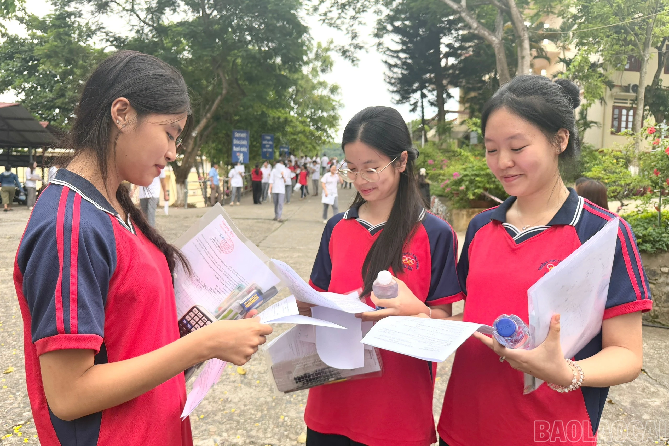 baolaocai-br_1781174906567-1990624821983247676-4362648308235759895-27bb968e30b71dcf96b7b590569d4e4d.jpg