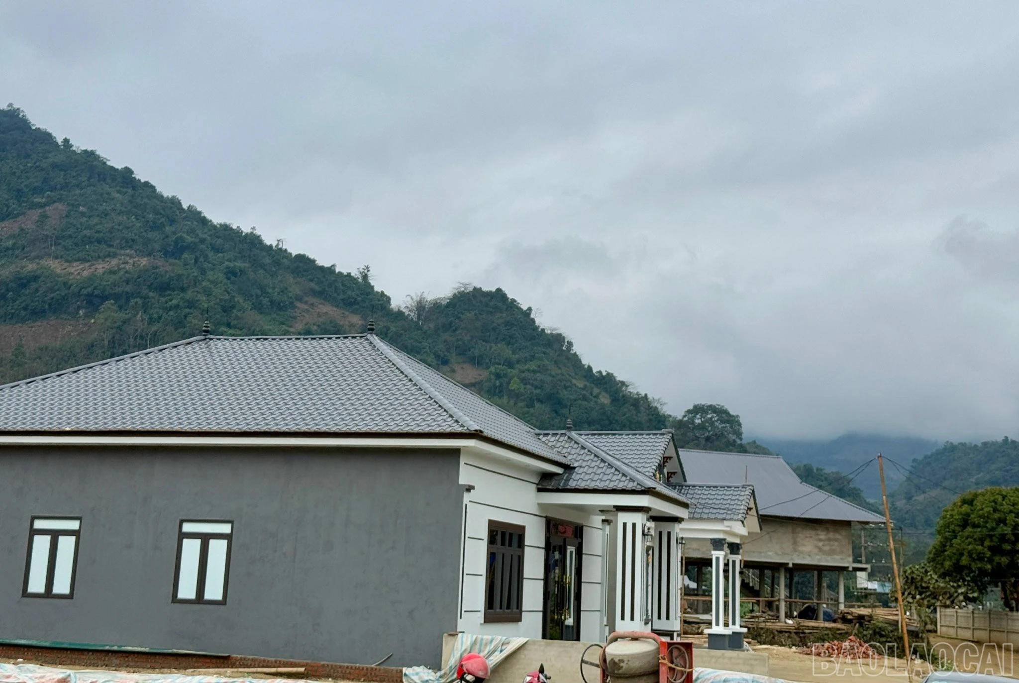 baolaocai-br_z7554880495272-7d1bbb3ec9b5f0eee12f542db8523f92.jpg