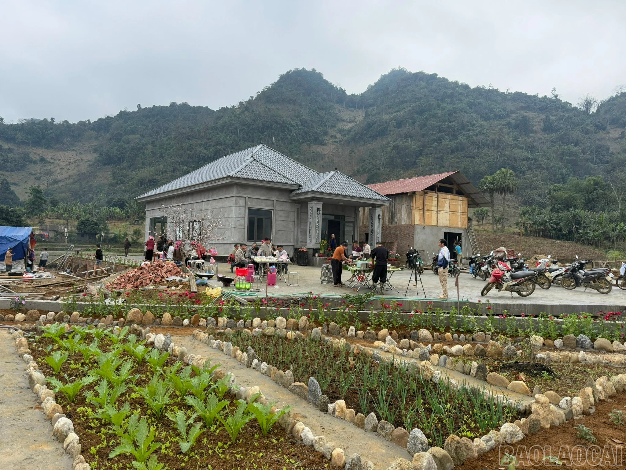 baolaocai-br_z7554876763733-1c726013bd0ee8eb38815741aa1b8a78.jpg