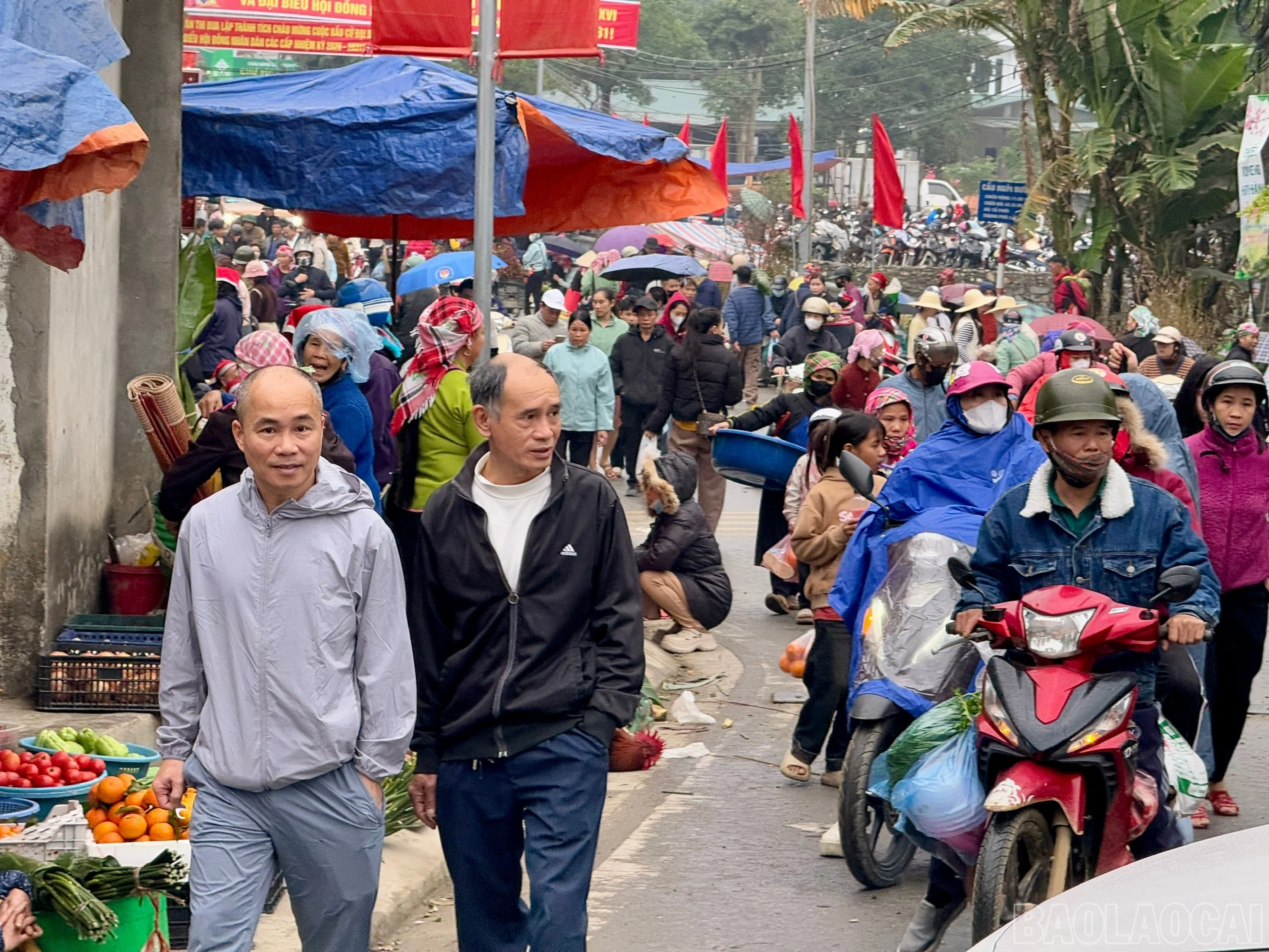 baolaocai-br_z7534286429116-729c04bca0d82c945a75b89f1dde8ea6.jpg