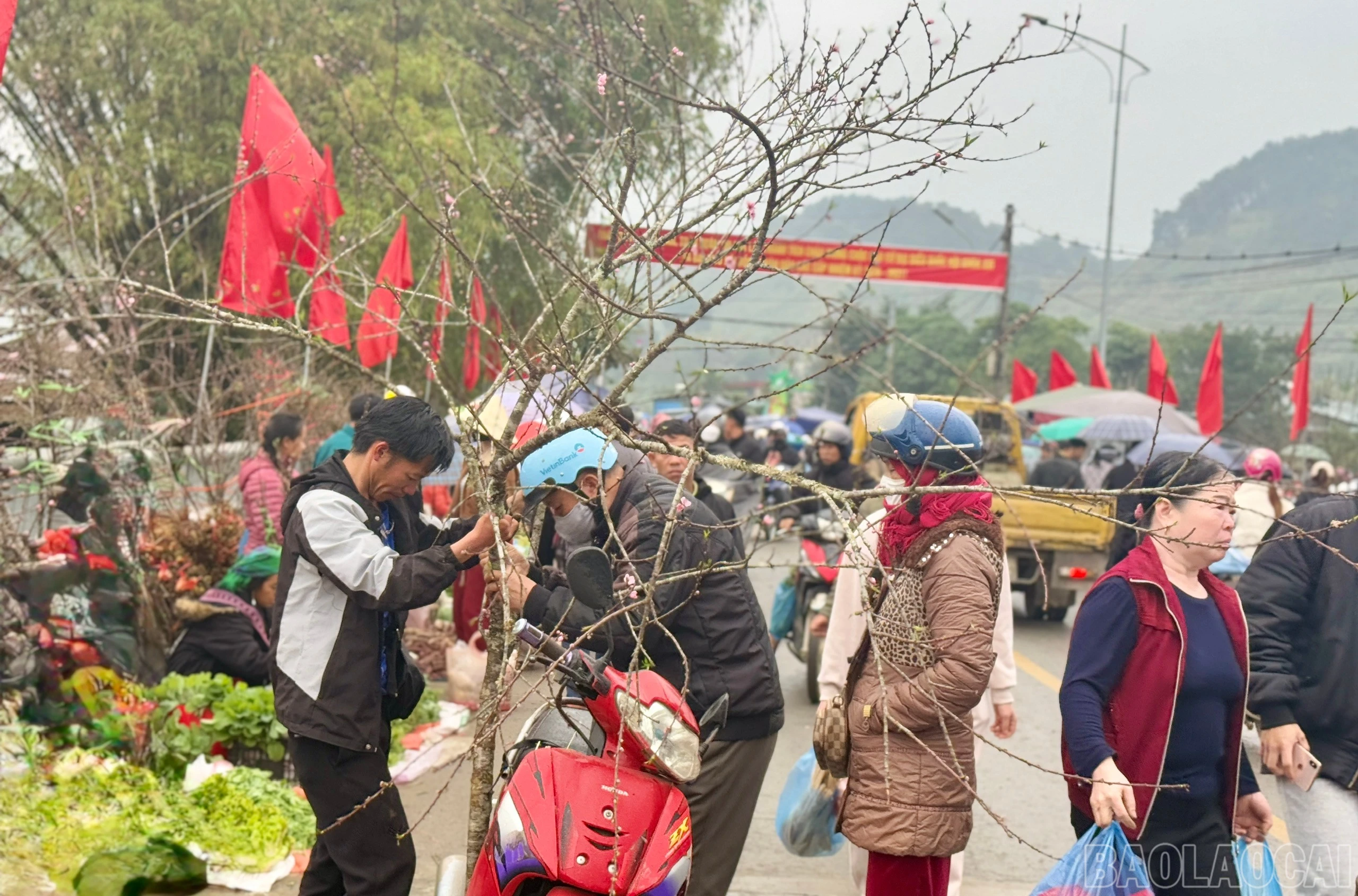 baolaocai-br_z7534292047558-89e56fe06c4d0f3fcc63dbdd9a936664.jpg