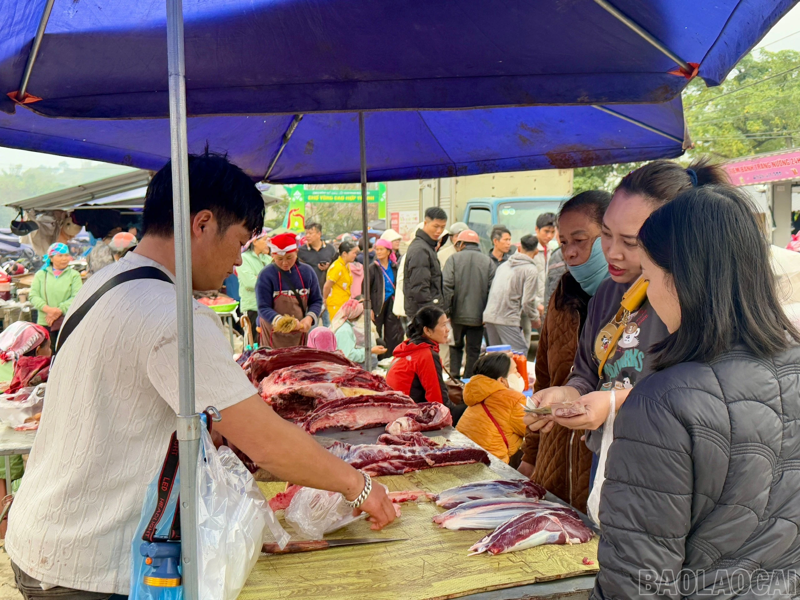 baolaocai-br_z7534287465545-d911fdfc81241cf1e262829caf43febe.jpg
