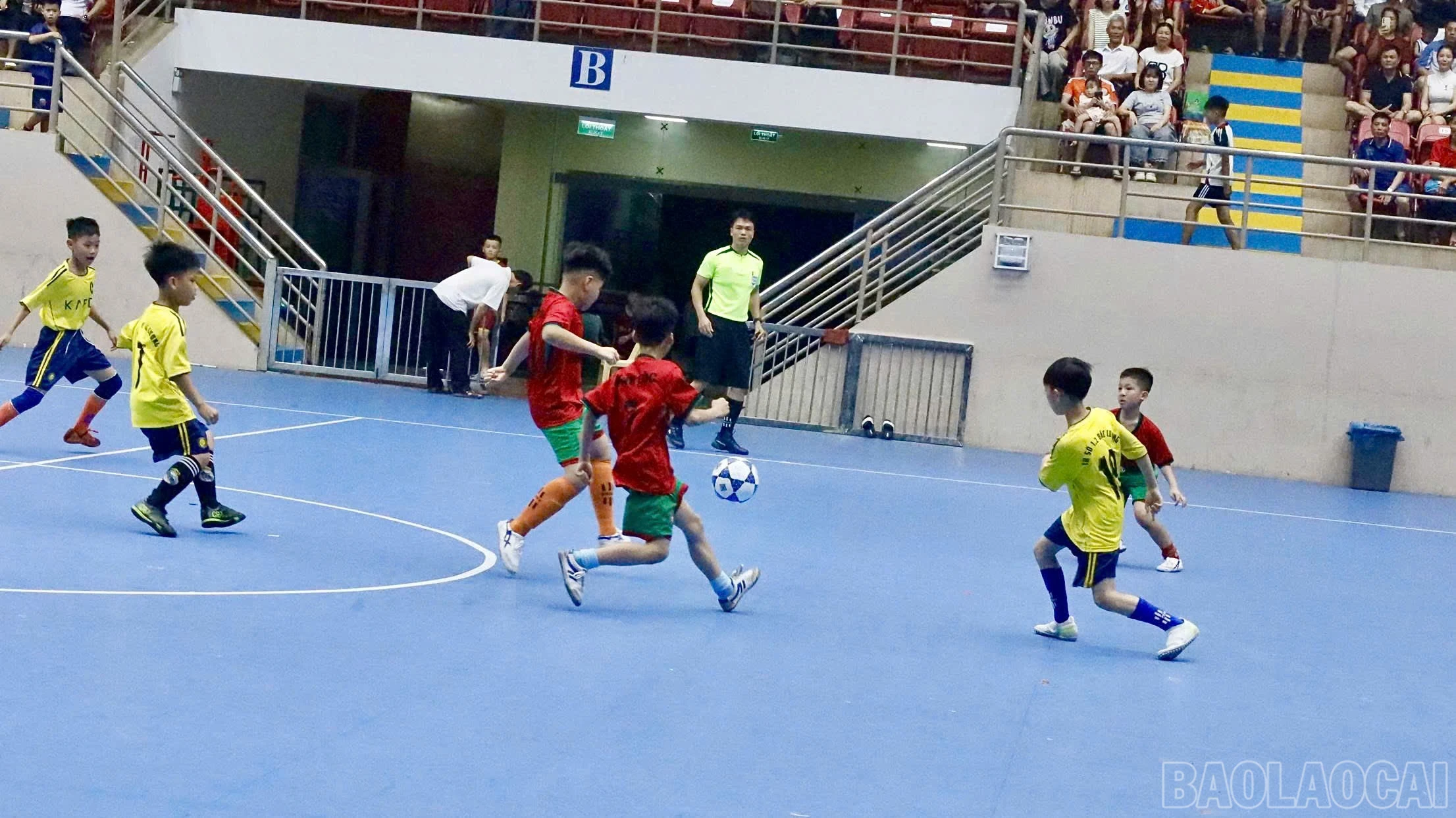 baolaocai-br_z7689364824144-f9597fe48f8c9236f2d3ab509fa08a55.jpg