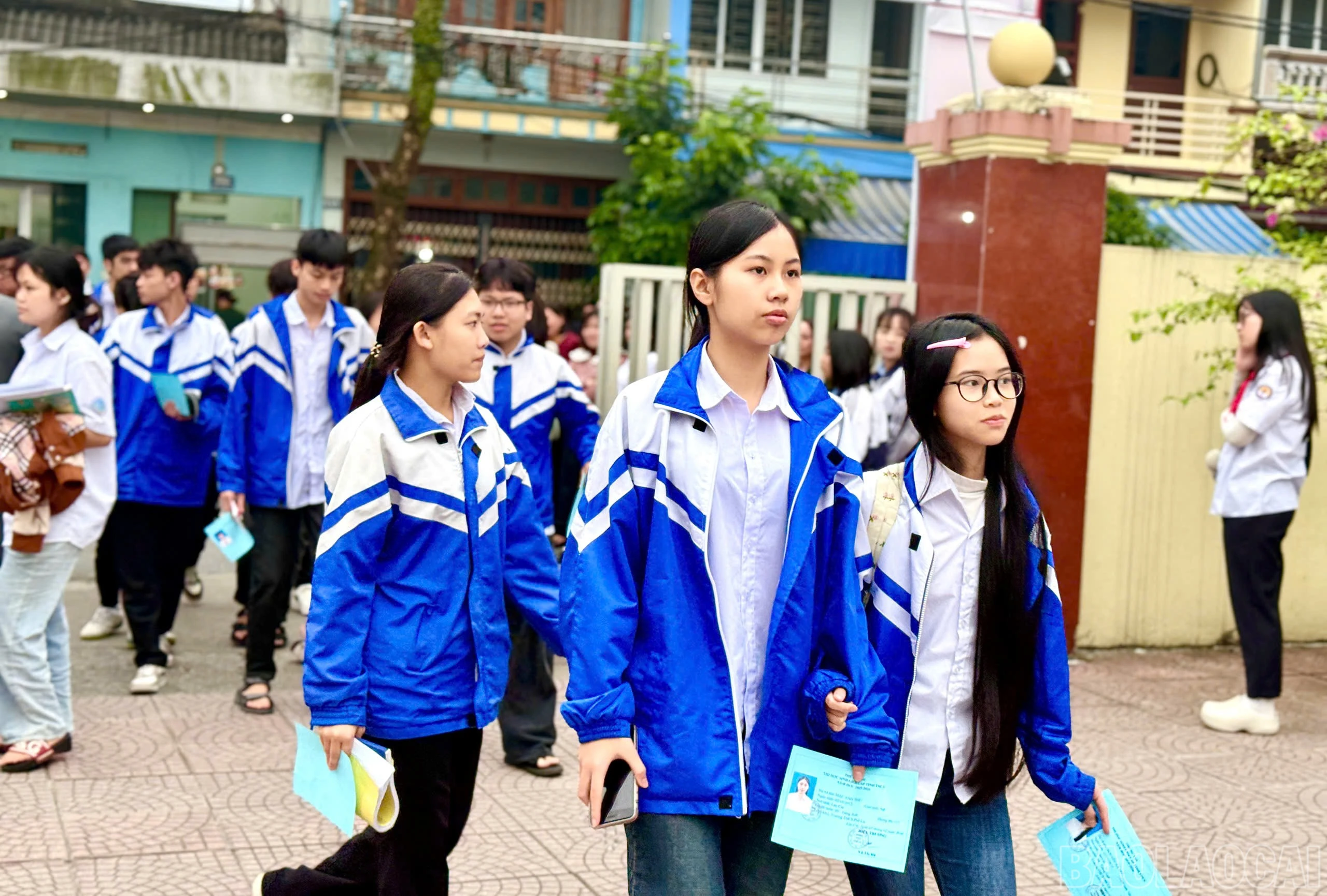 baolaocai-br_z7610214508831-fad78fc67f85f9f812465f78ff7d1d21.jpg