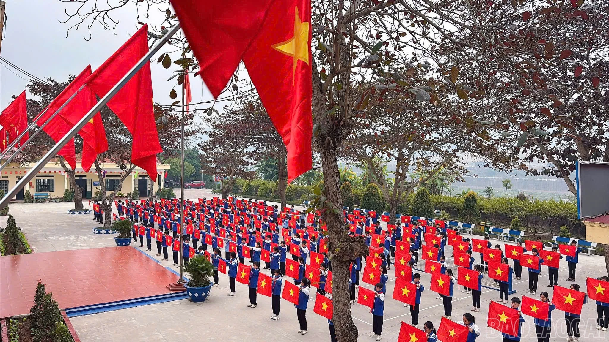 baolaocai-br_z7447976989939-f2ecd5a3f82d4935a980d73d02e39b5a.jpg