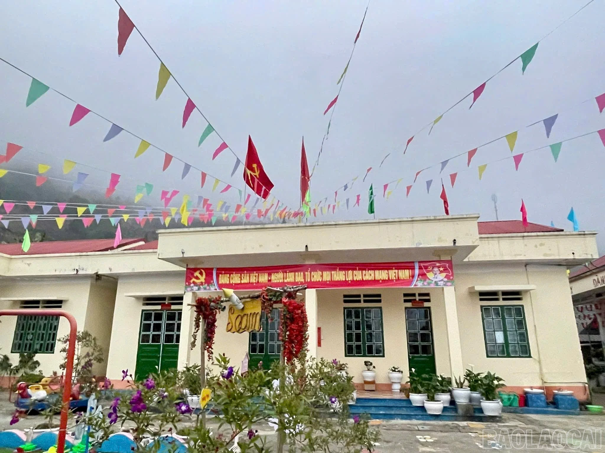 baolaocai-br_z7447977017151-a4178f7678778f885adc76626edd17a6.jpg