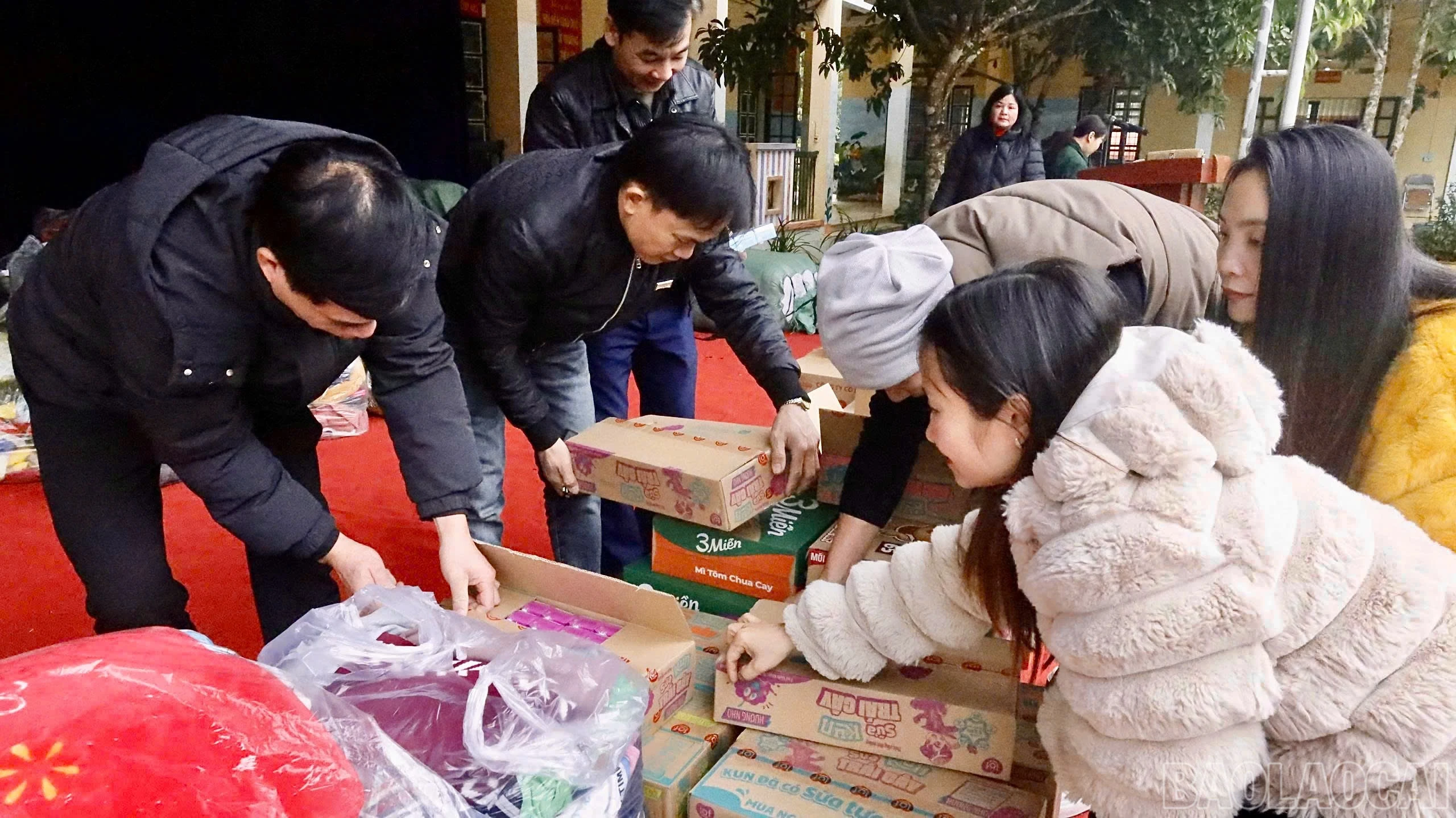 baolaocai-br_z7414683954188-1bf4f38a97c37115a6682572fd132ae6.jpg