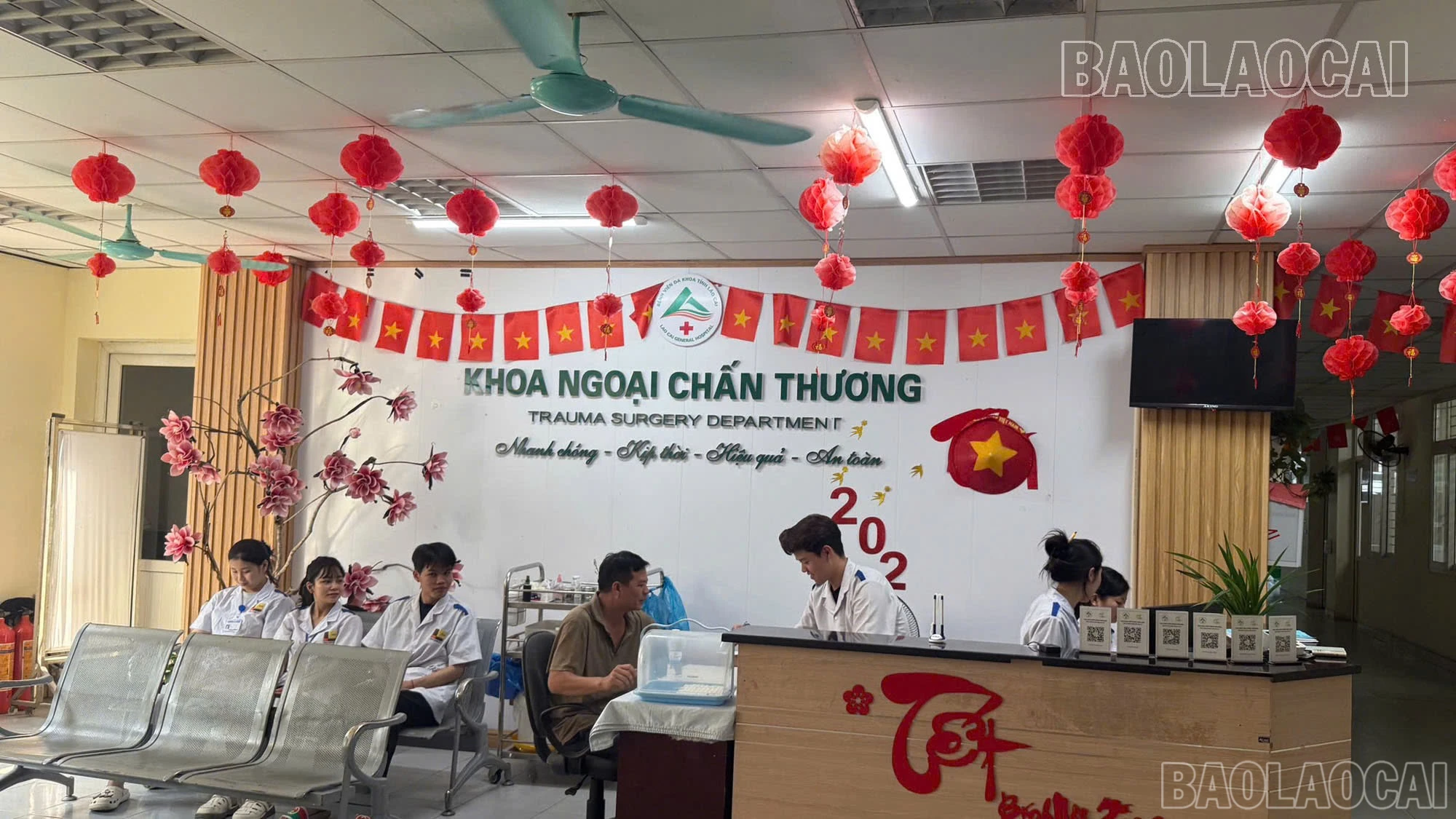 baolaocai-br_1780309128405-8701487365705301853-8701487365705301853-649291c5ff51153f00f0ad31f85495e9.jpg