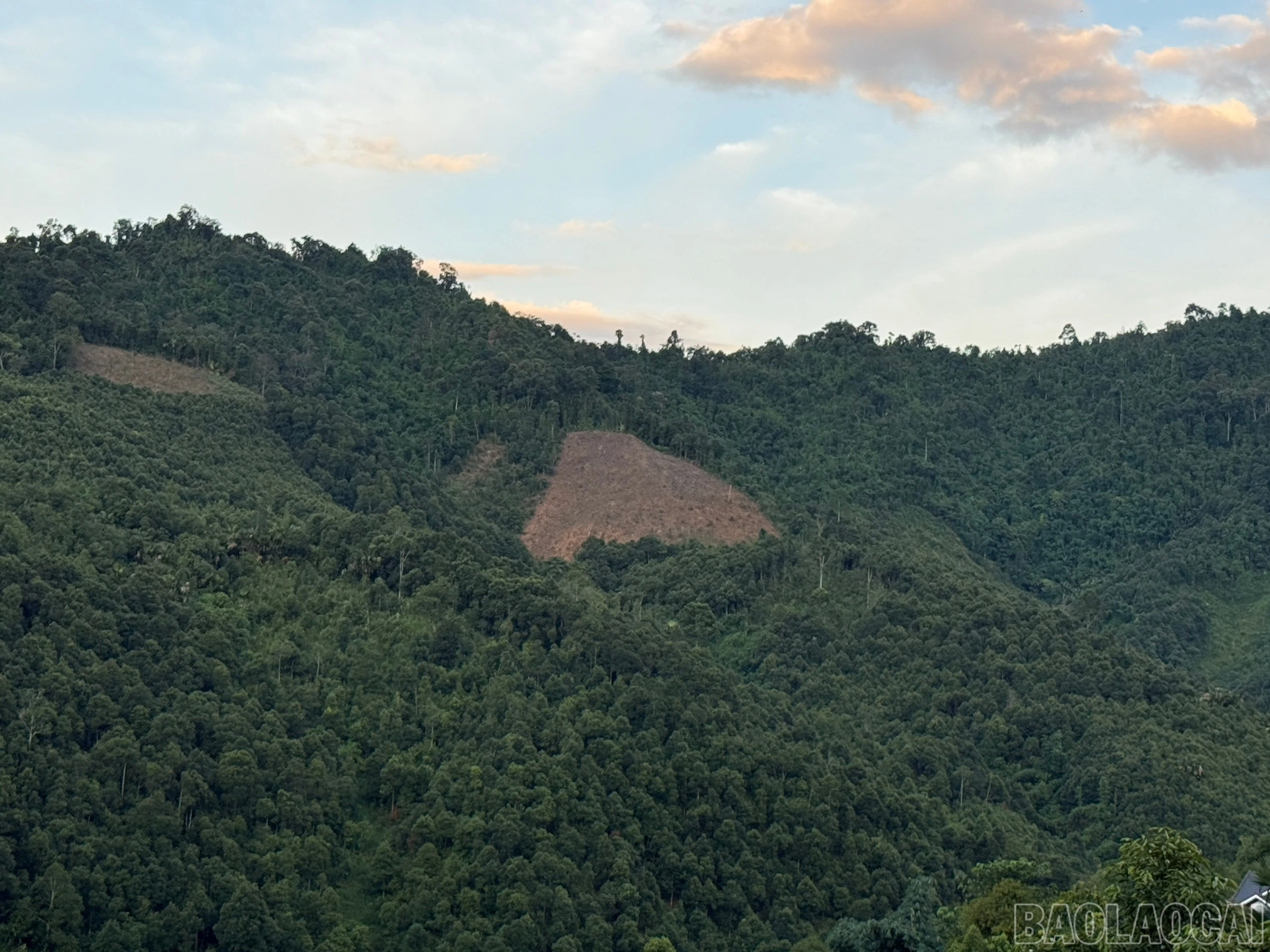 baolaocai-br_z7567779271075-0a8a311815daf1539c53b60e6d0929a0.jpg