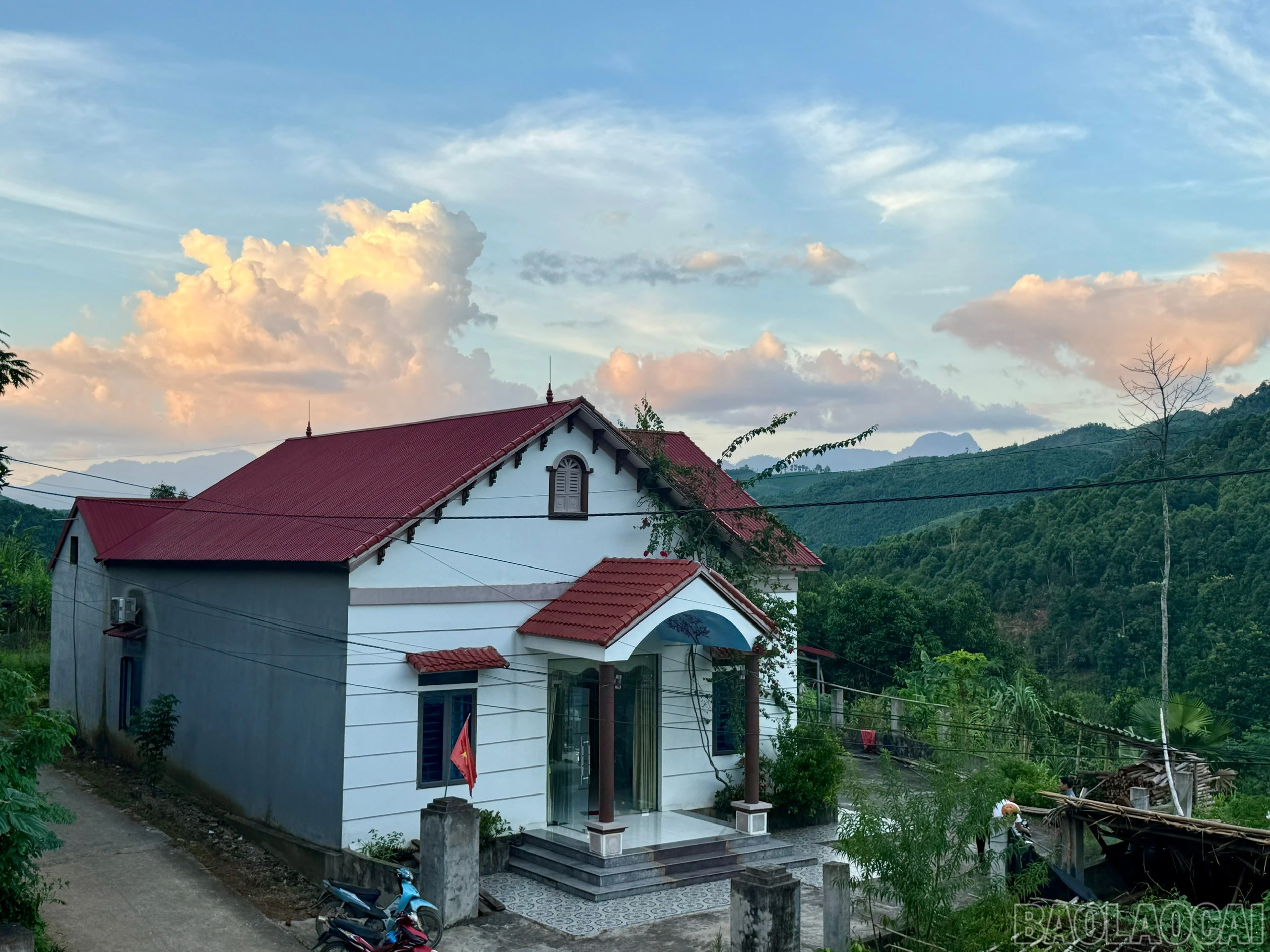baolaocai-br_z7567773816314-b706ad2a8de959d3de044ae0e68ca34c.jpg