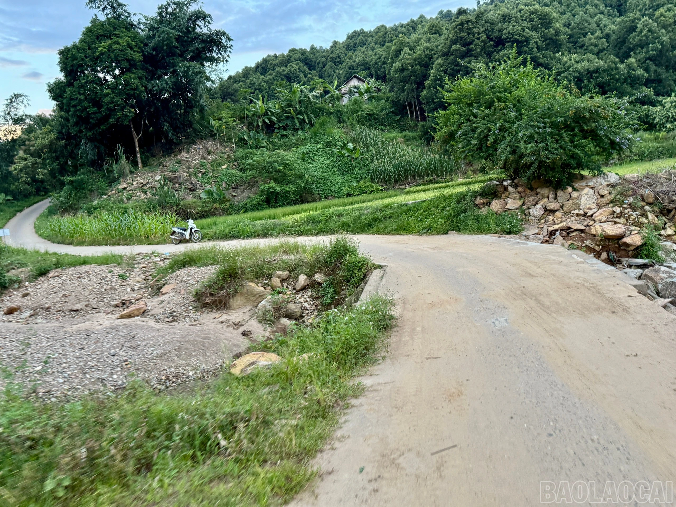 baolaocai-br_z7567775665450-b450163aa7ac9692cdbac5e671070490.jpg