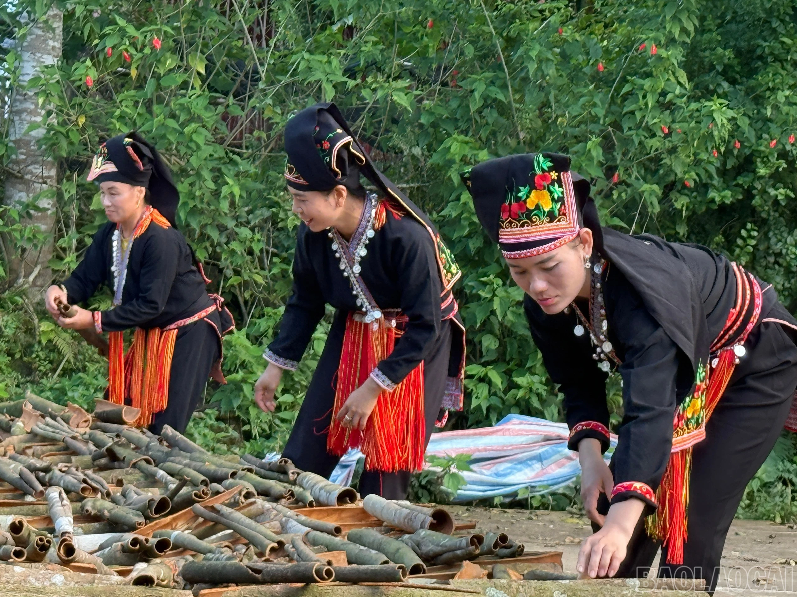 baolaocai-br_z7567769571872-f451110563ac444de632cbdf5f203f7c.jpg