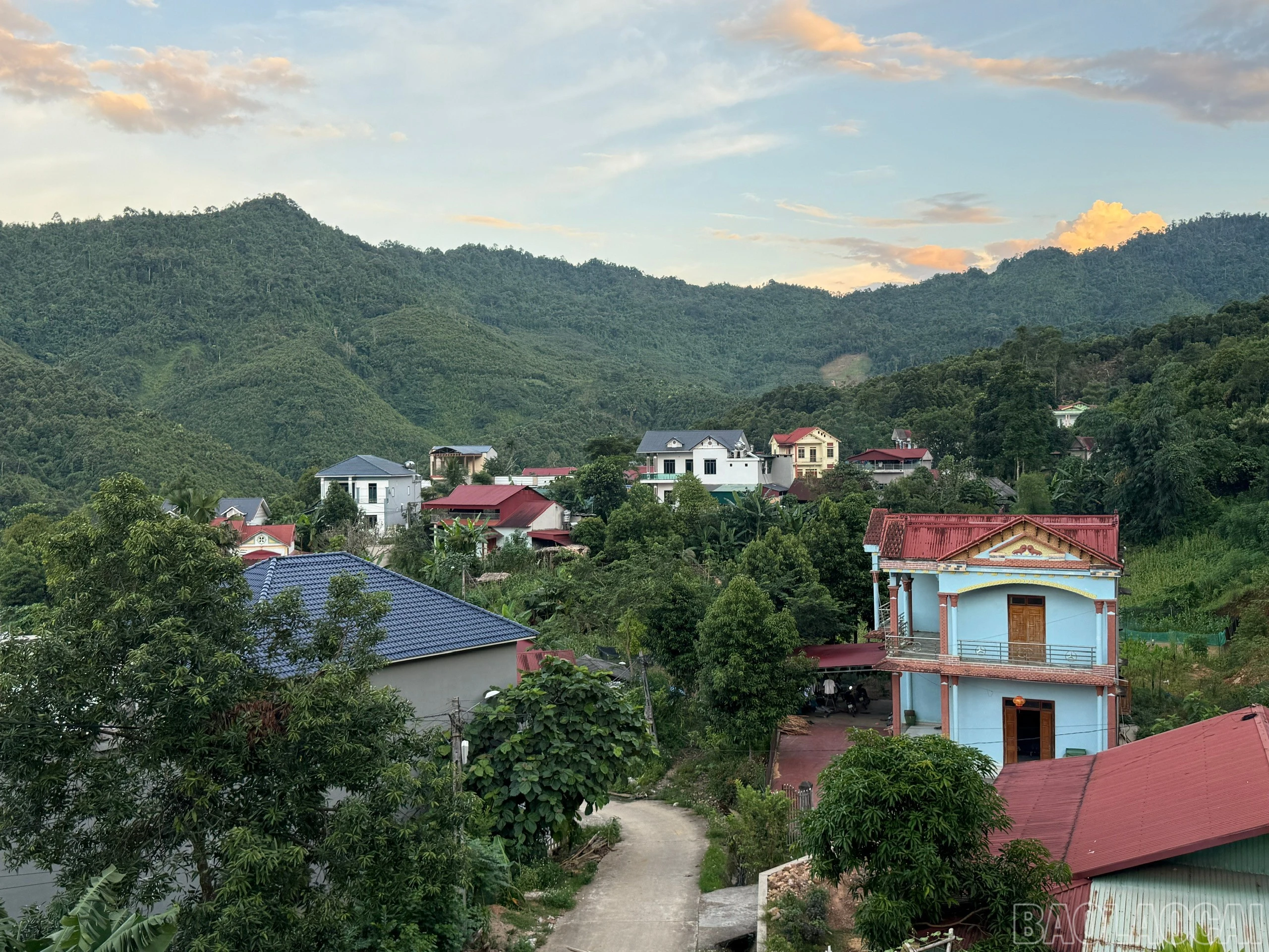 baolaocai-br_z7567777228589-895524f7b2c42f479f9738eb740b16e1.jpg