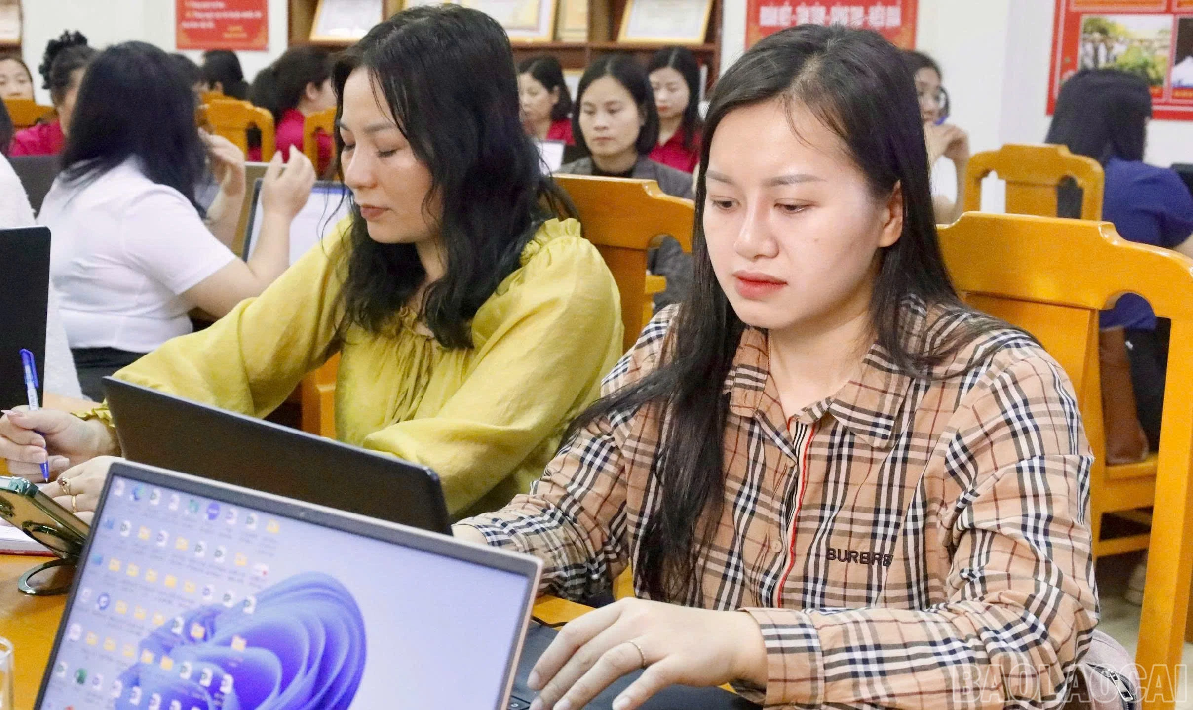 baolaocai-br_z7642026077990-d22b6483a5a9c81da94a6eedb0473465.jpg
