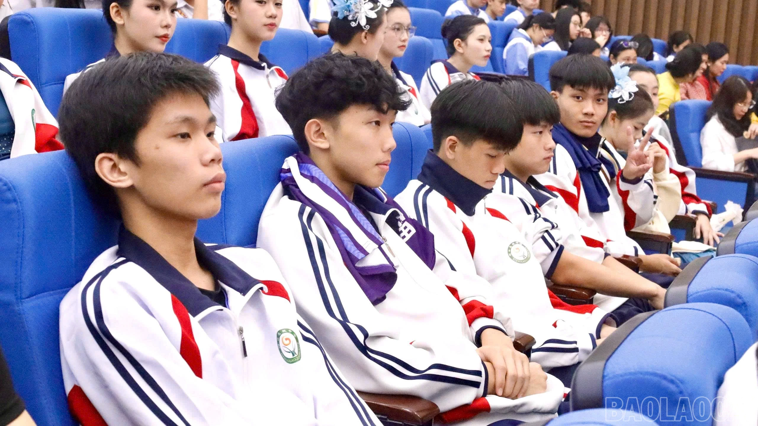 baolaocai-br_z7644323153922-f87e184061fea6953ee28f8e1a4f3c70.jpg