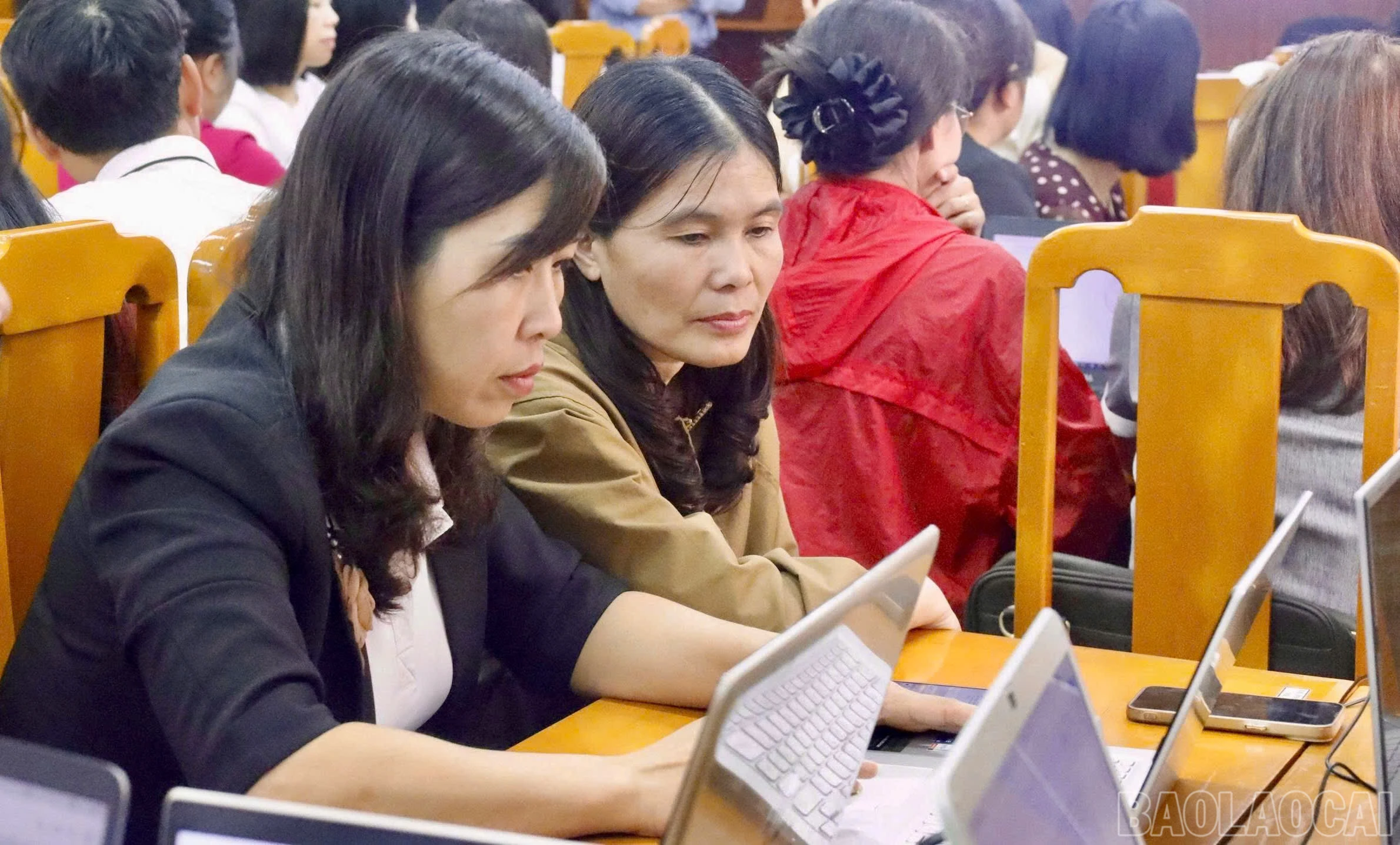 baolaocai-br_z7642026037226-c0882dde2c9d0112ffbac1b0cd9e6259.jpg