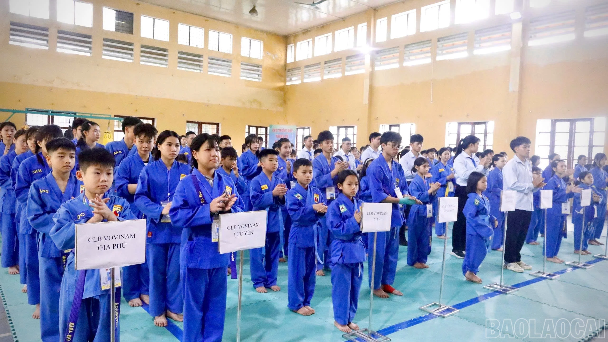 baolaocai-br_z7643700026819-58371fa6d6dc83cbc0d64a5c2a0094dd.jpg