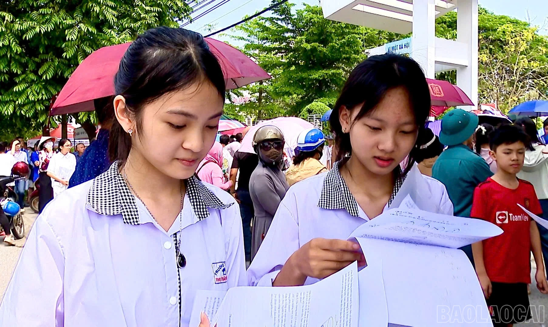 baolaocai-br_1779968262536-1990624821983247676-4362648308235759895-bedd6ccef854a80872ec758ee4ab578e.jpg
