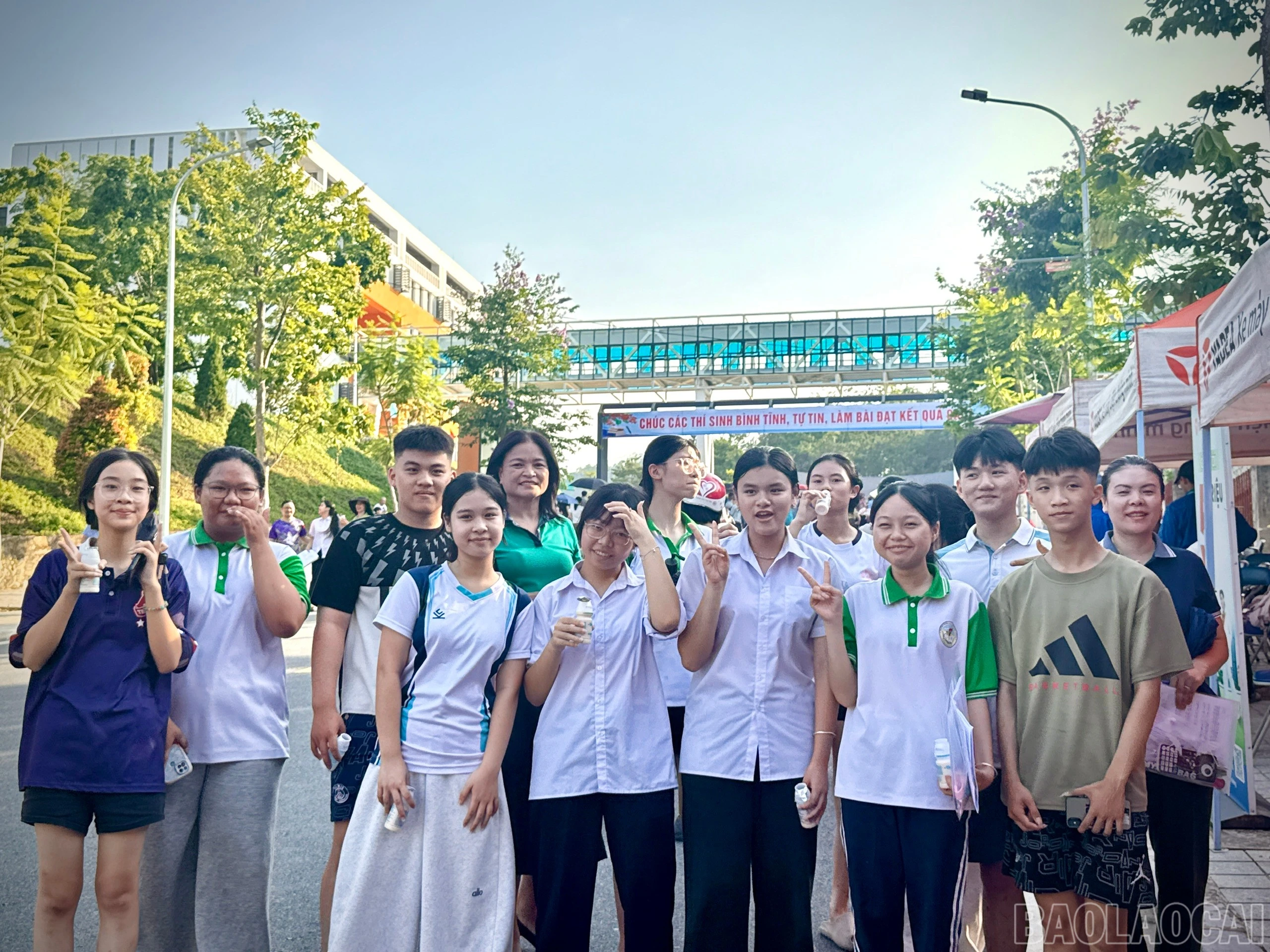 baolaocai-br_1779967870225-1990624821983247676-4362648308235759895-c540d8e8692b43f1bfd6fb4adb916774.jpg