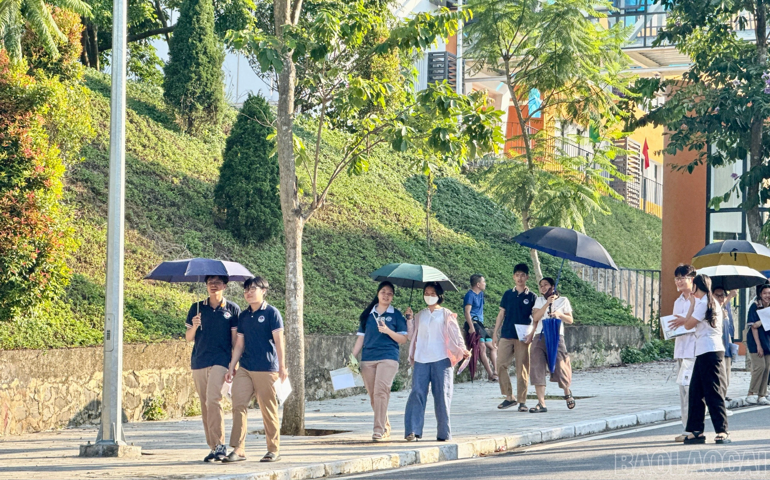 baolaocai-br_1779968078642-1990624821983247676-4362648308235759895-6e750ef9bd2da51673274546621f98d7.jpg