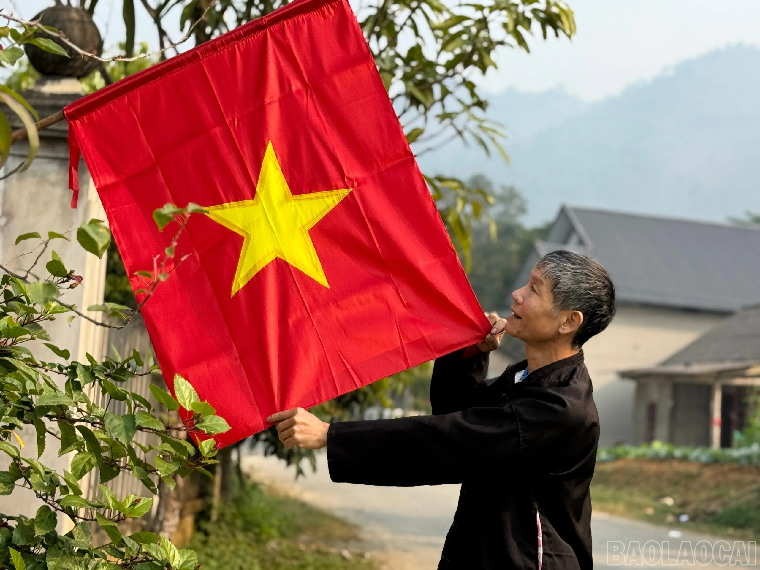 baolaocai-br_z7427770364752-f4242819ca152d04527f0195a0ffe25c.jpg
