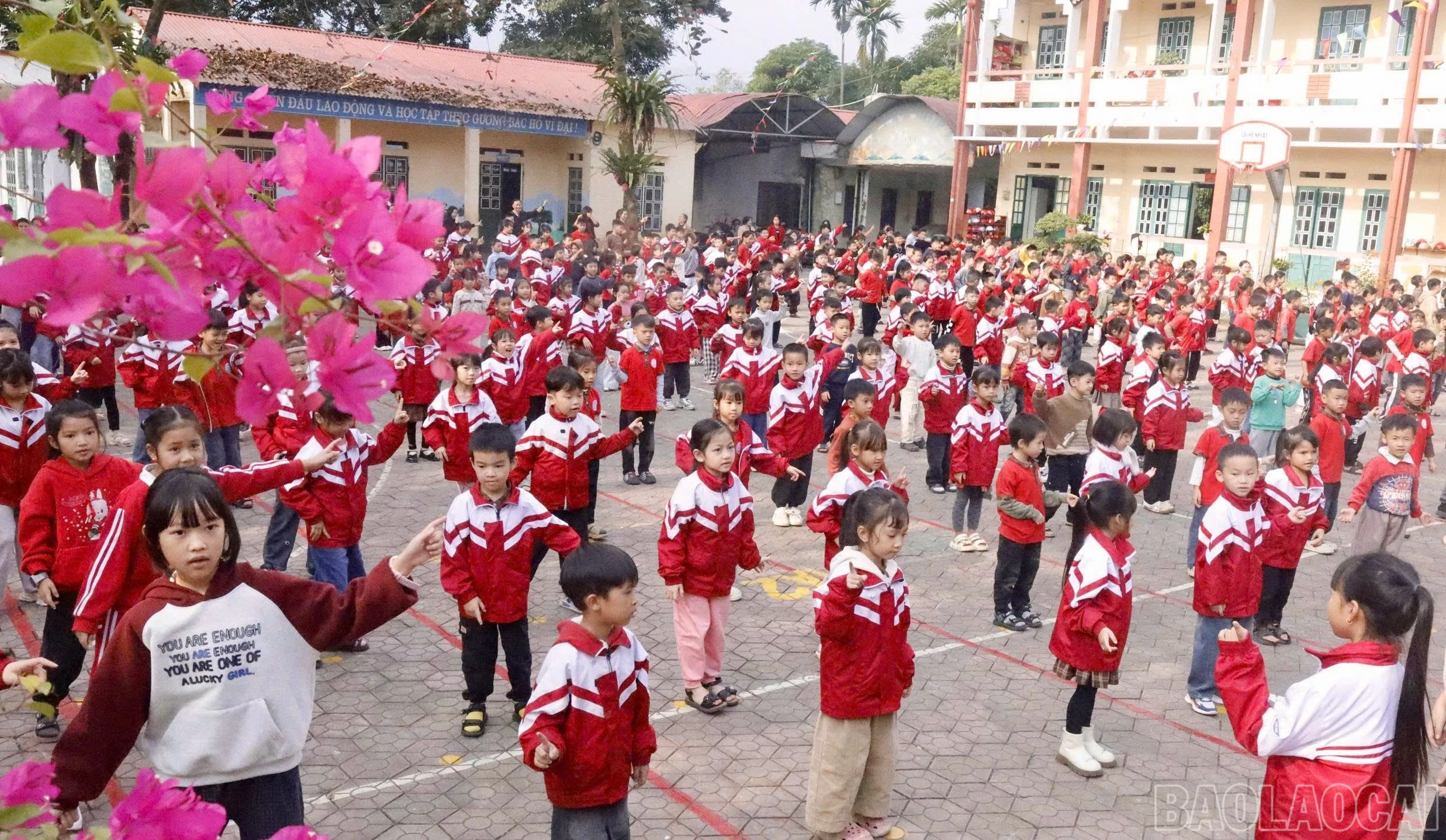 baolaocai-br_z7494803005286-5fb9b70462900f2309bcb79948ff9f49.jpg
