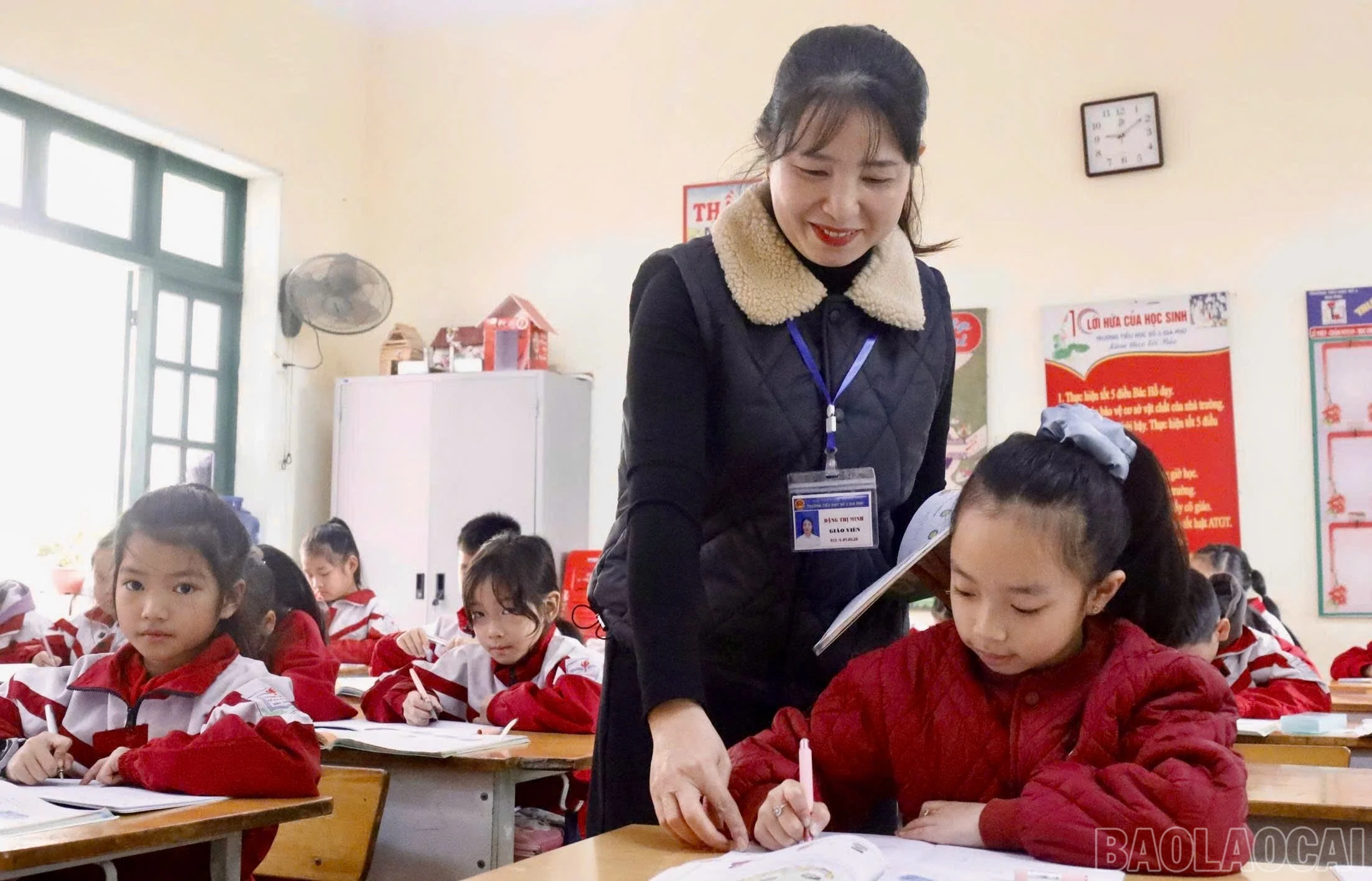 baolaocai-br_z7494803019243-4ebe3d3db578822eefc9926a66307aca.jpg
