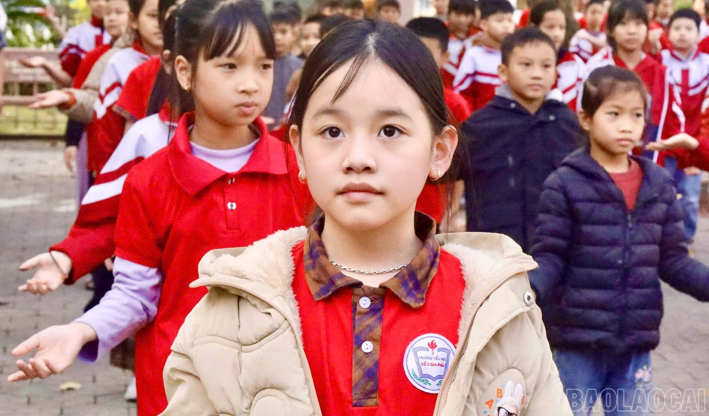 baolaocai-br_z7494802976867-6e9ec178c372201fb91850d88ca920ee.jpg