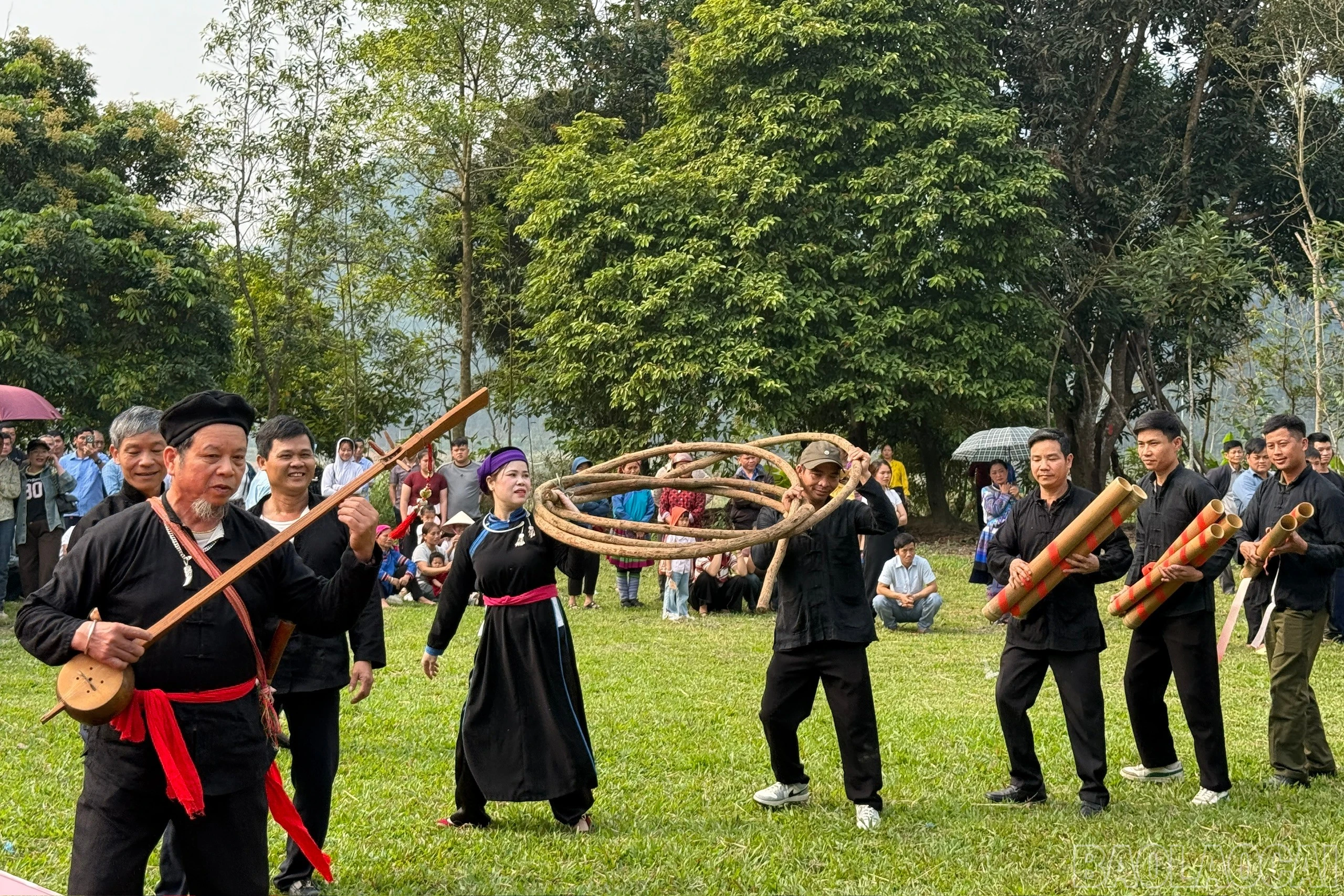 baolaocai-br_z7587237462295-19737f84803893e22773690ea2bc628f.jpg