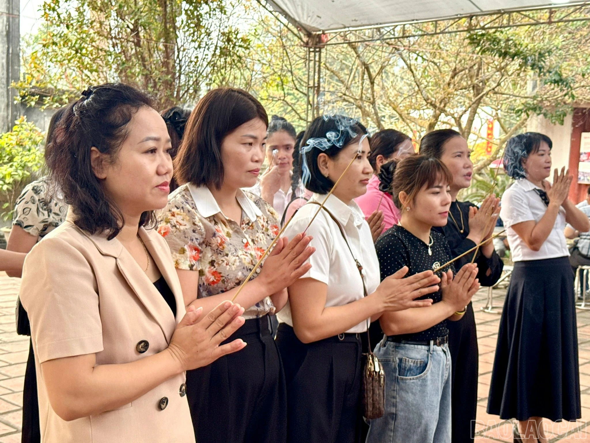 baolaocai-br_z7587244611301-a7e19d6f42edea944be465f48715a803.jpg
