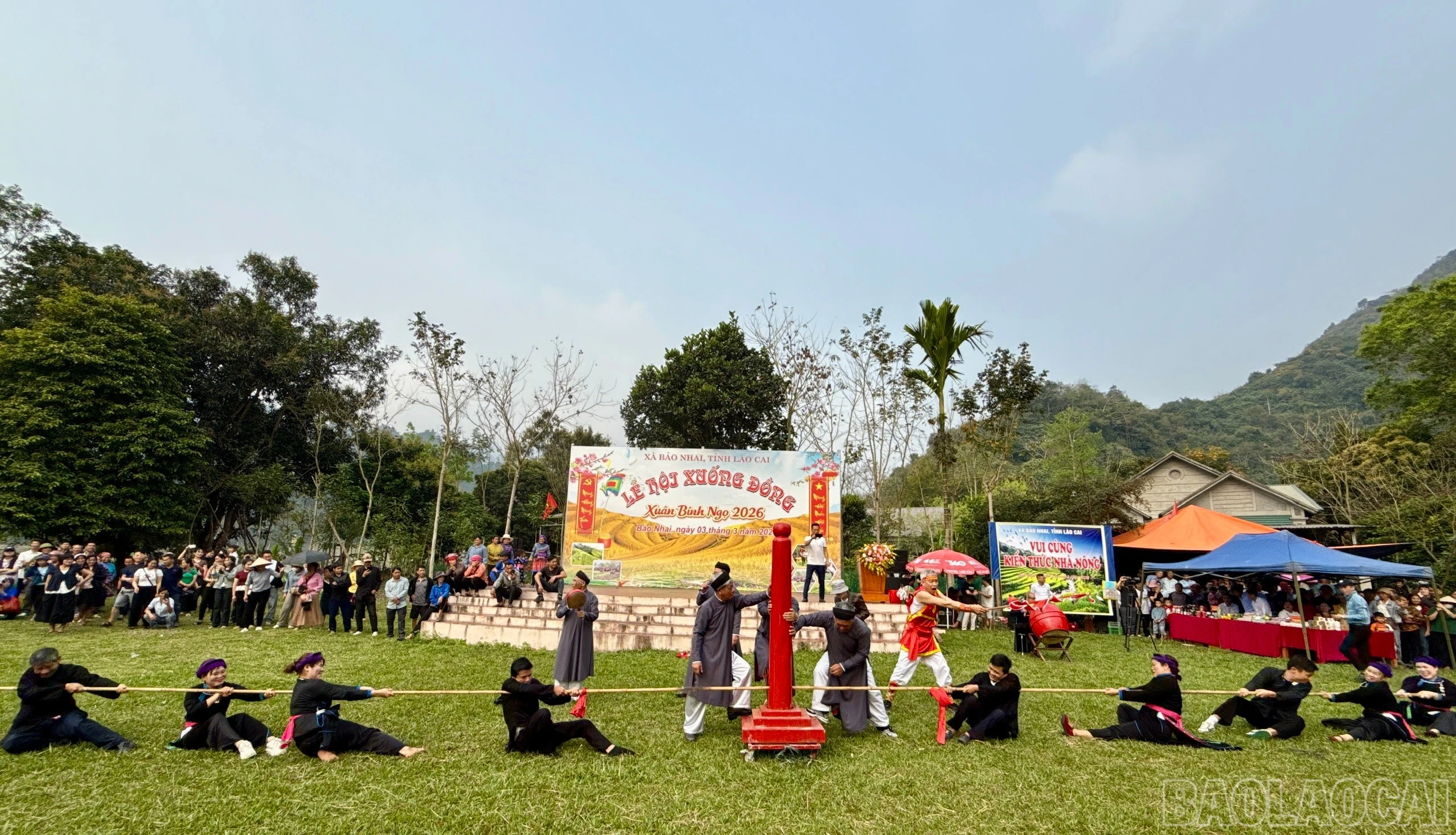 baolaocai-br_z7587240120449-8a0788f24a3c0f765e0ff2f30f609720.jpg