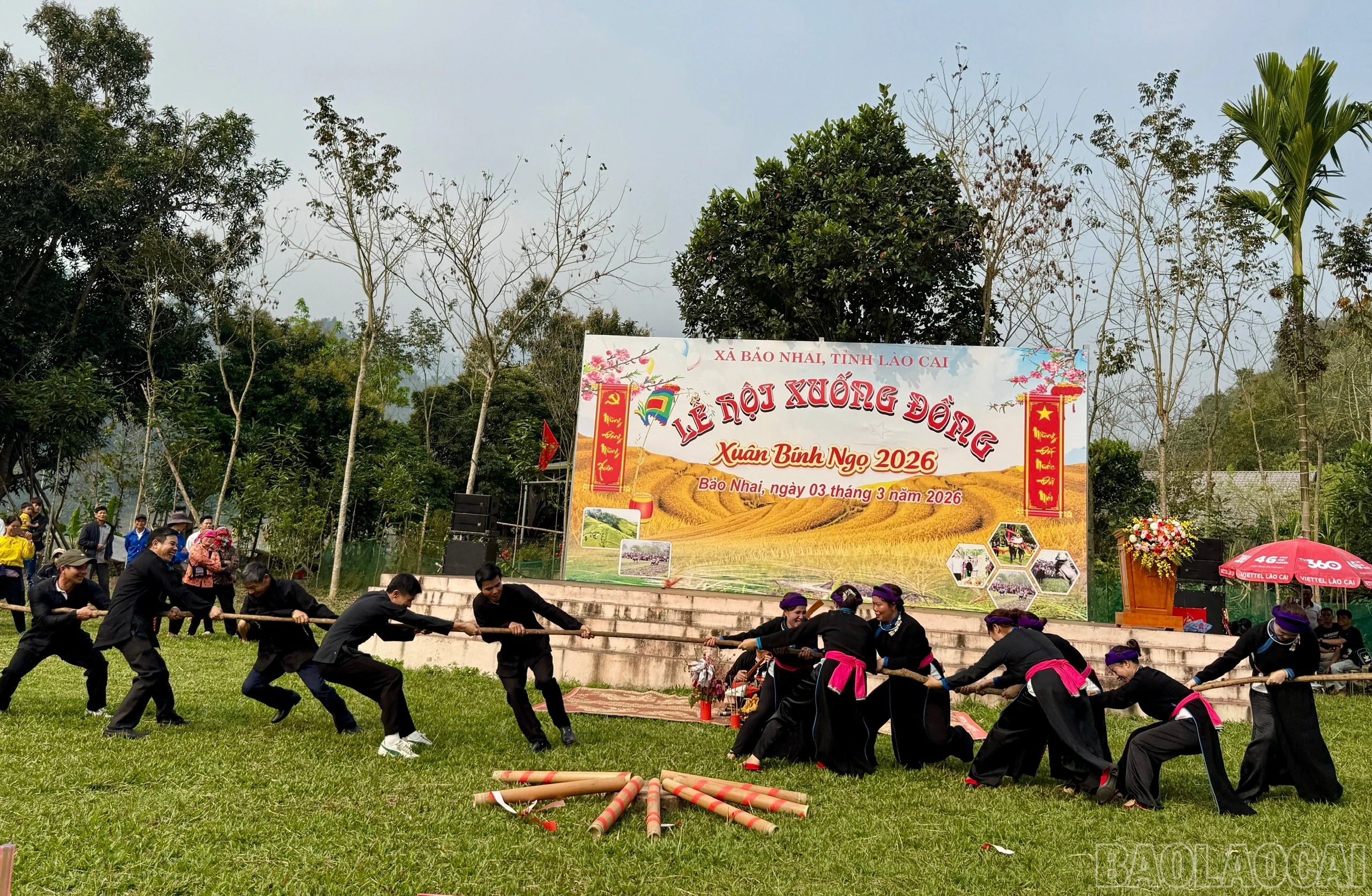 baolaocai-br_z7587235618469-5979144931e36ad01a0167cadb38af68.jpg