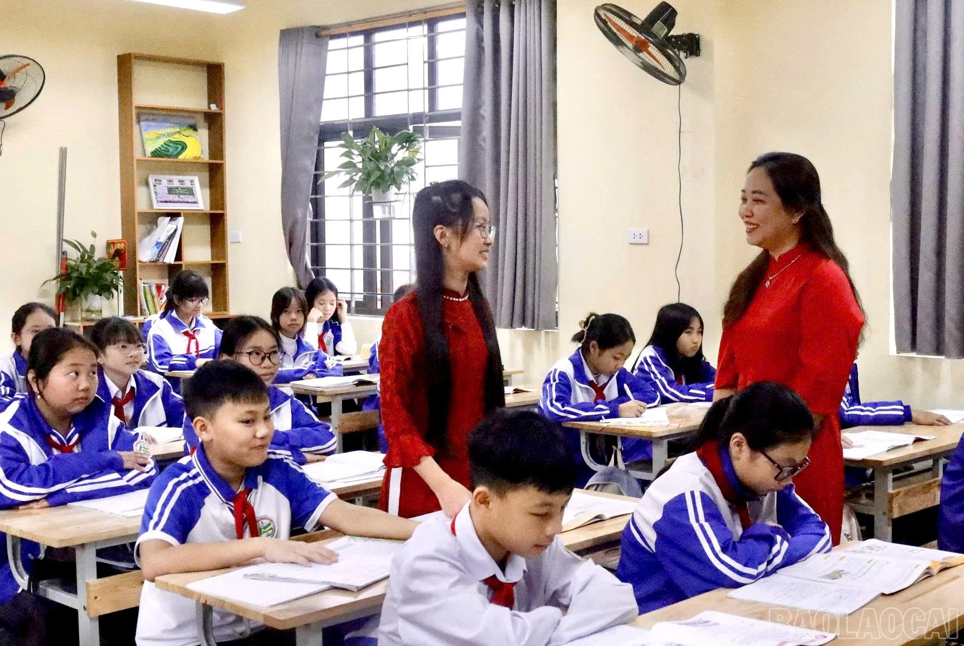 baolaocai-br_z7556936665510-b43ef816b608431ed7e291d23756ee33.jpg