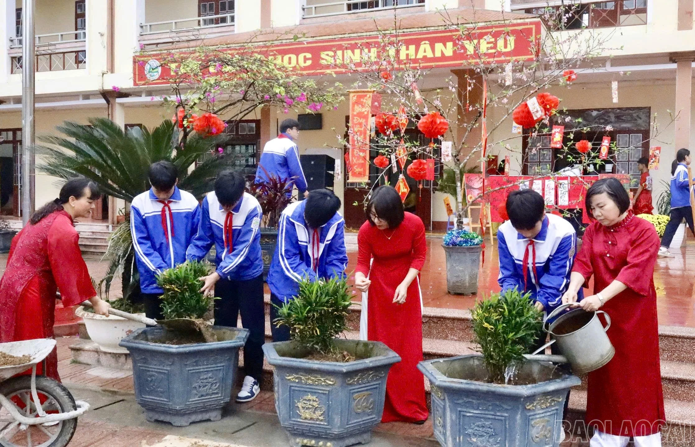 baolaocai-br_z7556936659972-ea460db4159a48007b8c874bf7531bac.jpg