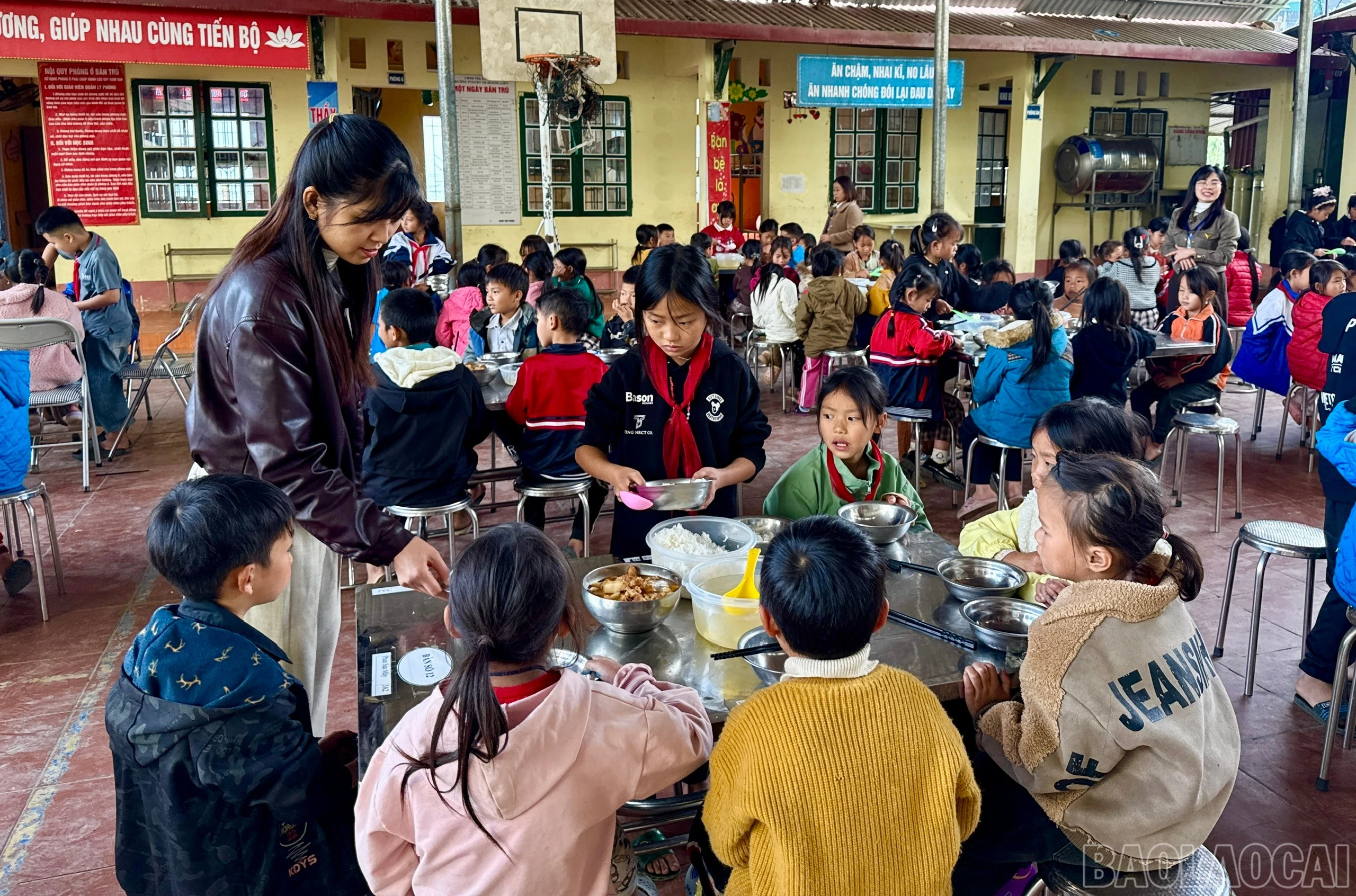 baolaocai-br_z7411431850376-3fbbe97089846d6501011f08058b216b.jpg