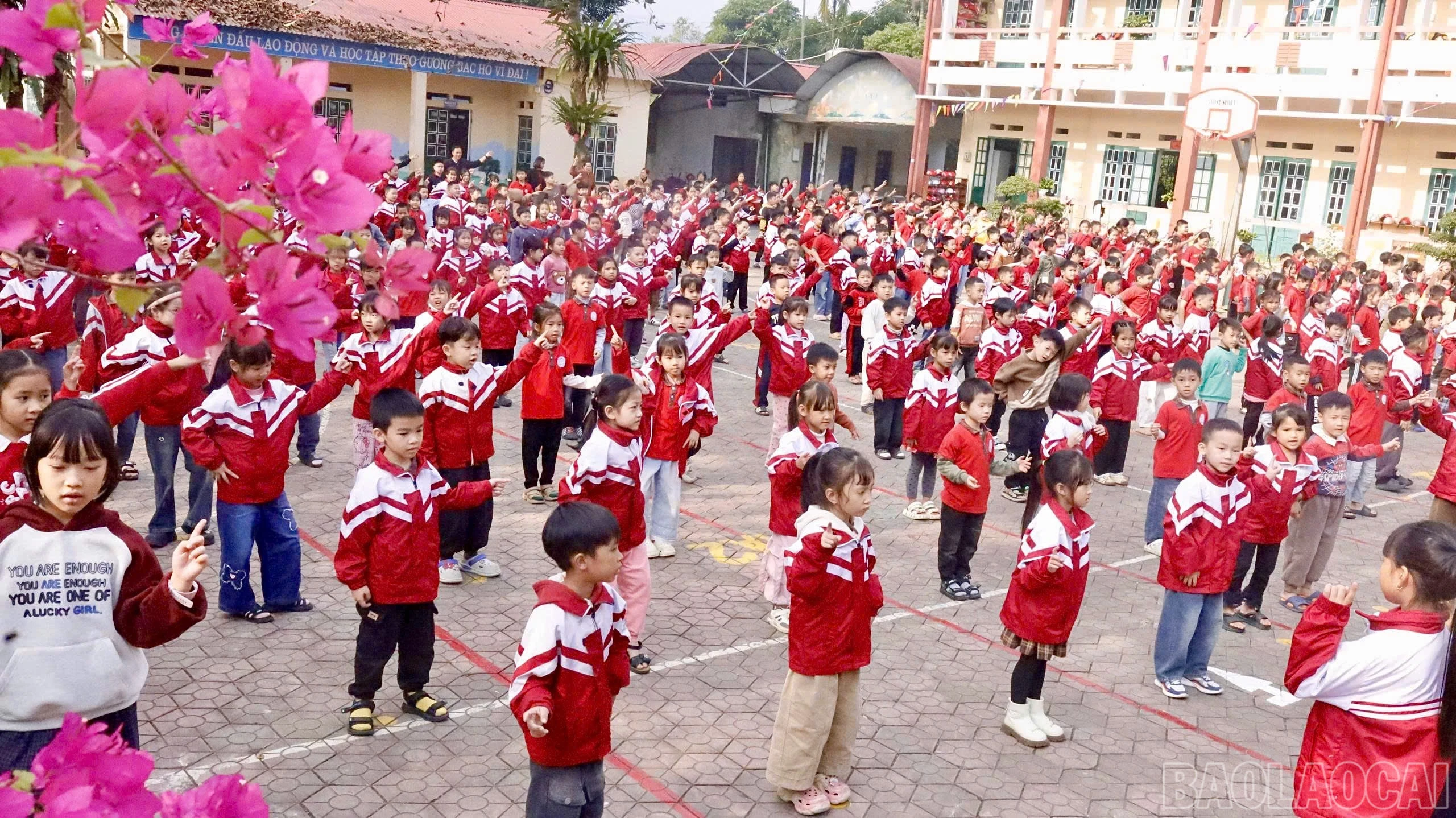 baolaocai-br_z7411321779868-5c88dcb1e2ad4bac540291dee467ce6e.jpg