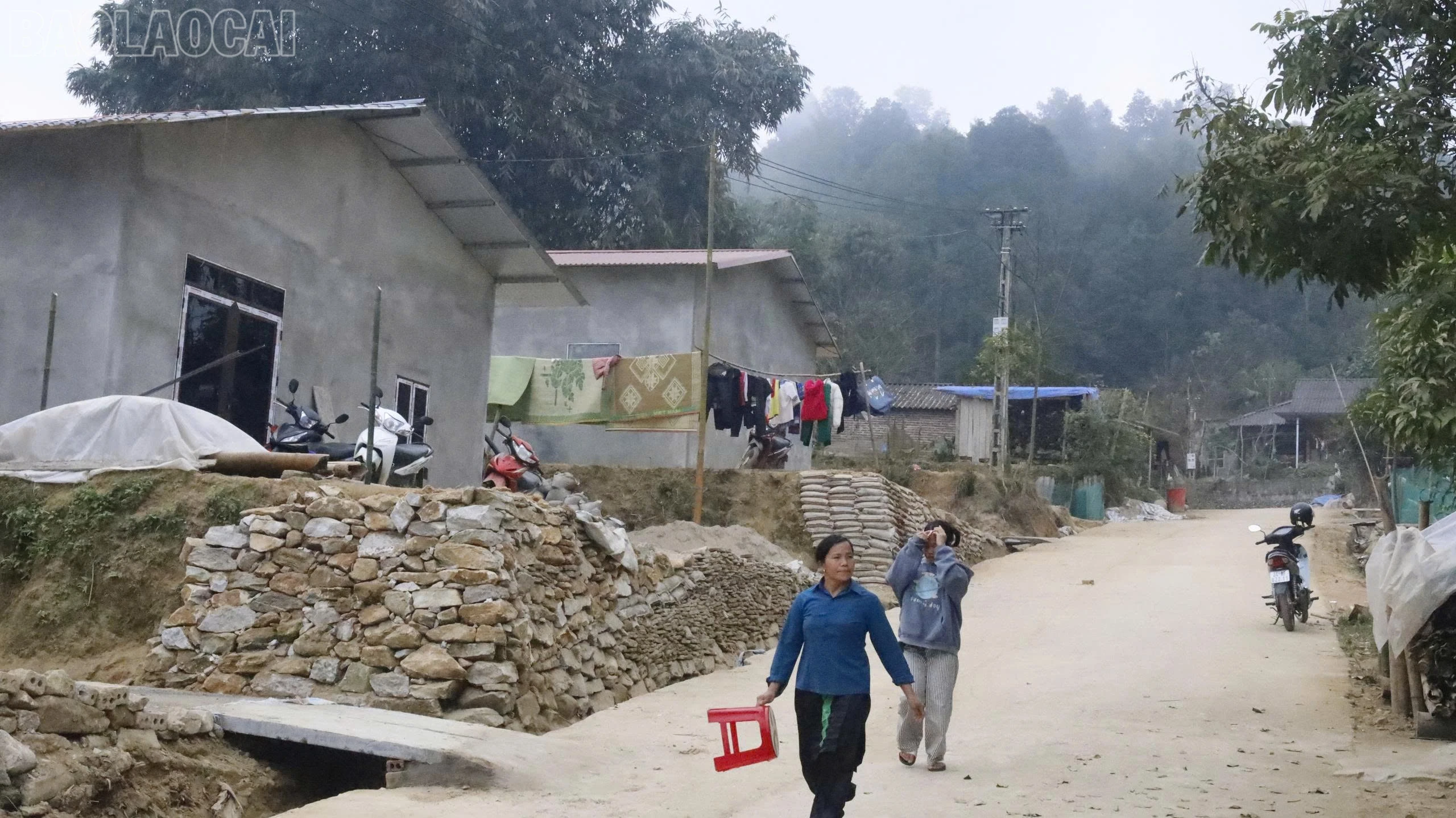 baolaocai-tl_z7535452024166-b859740fafa9a6e80eed215ea695f2ed.jpg